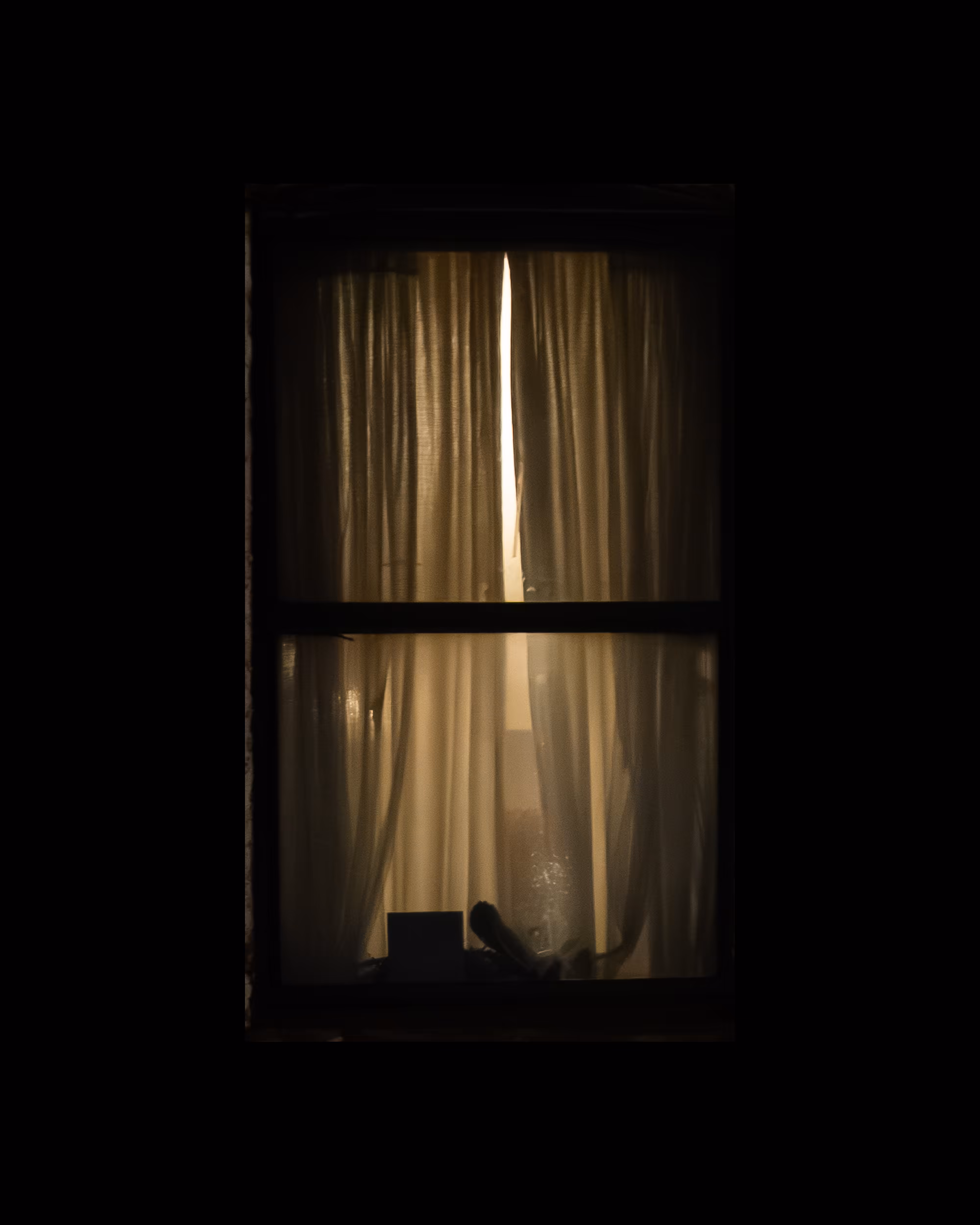 WINDOW 331