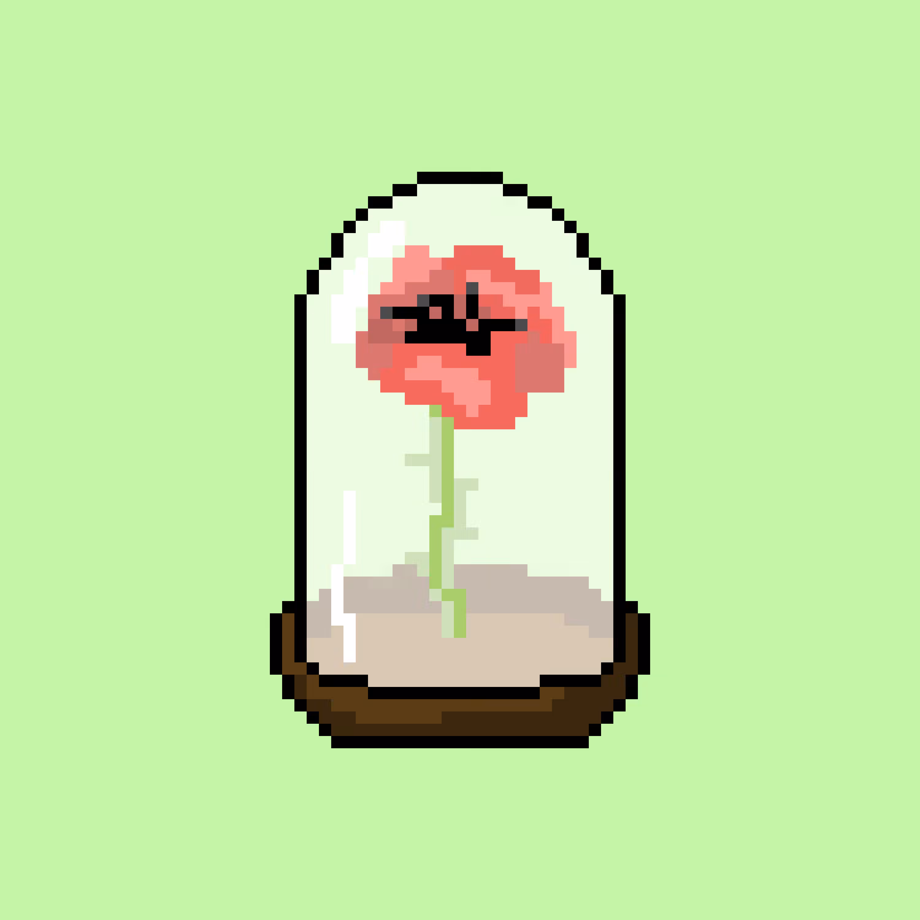Dome 1 - Poppy
