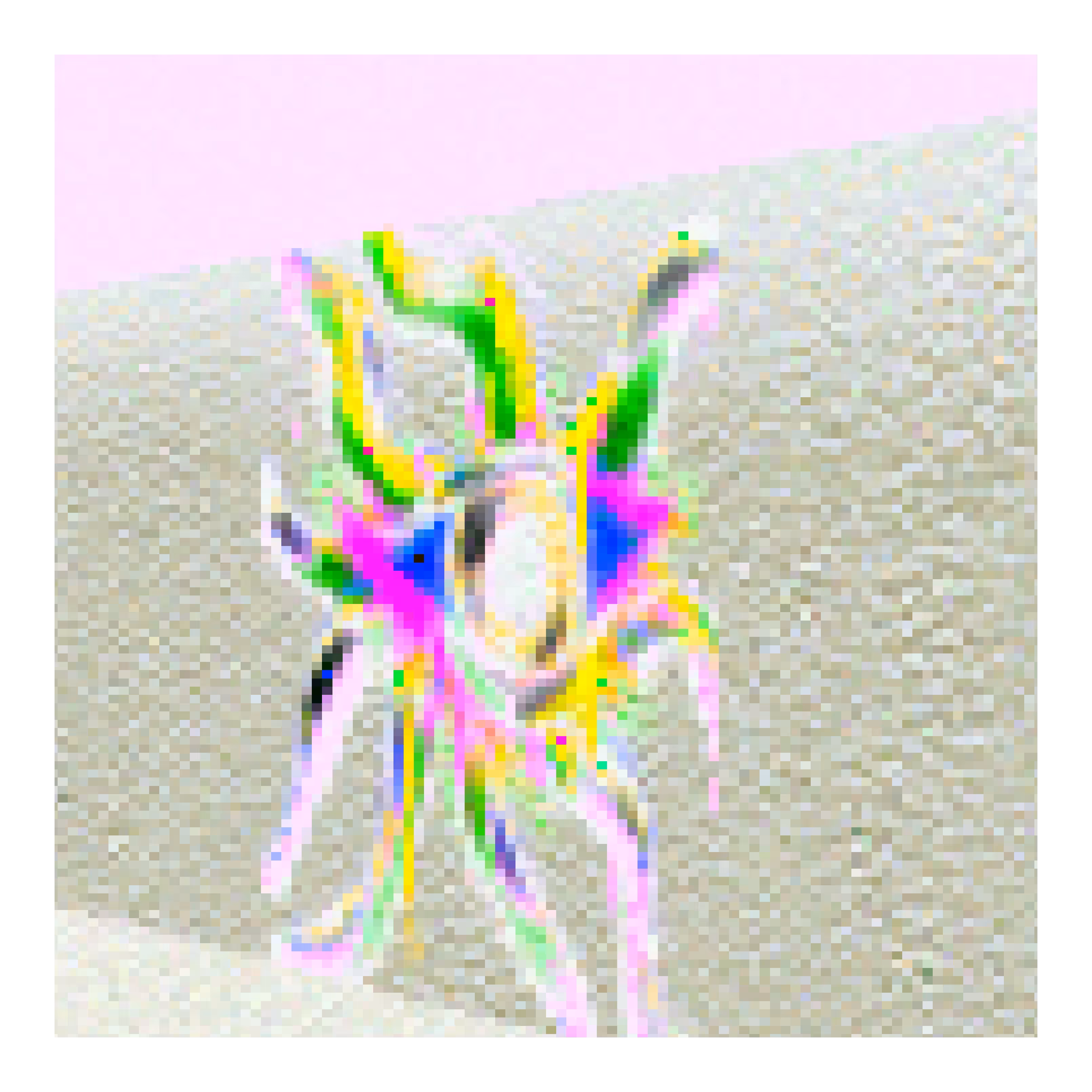 eye 