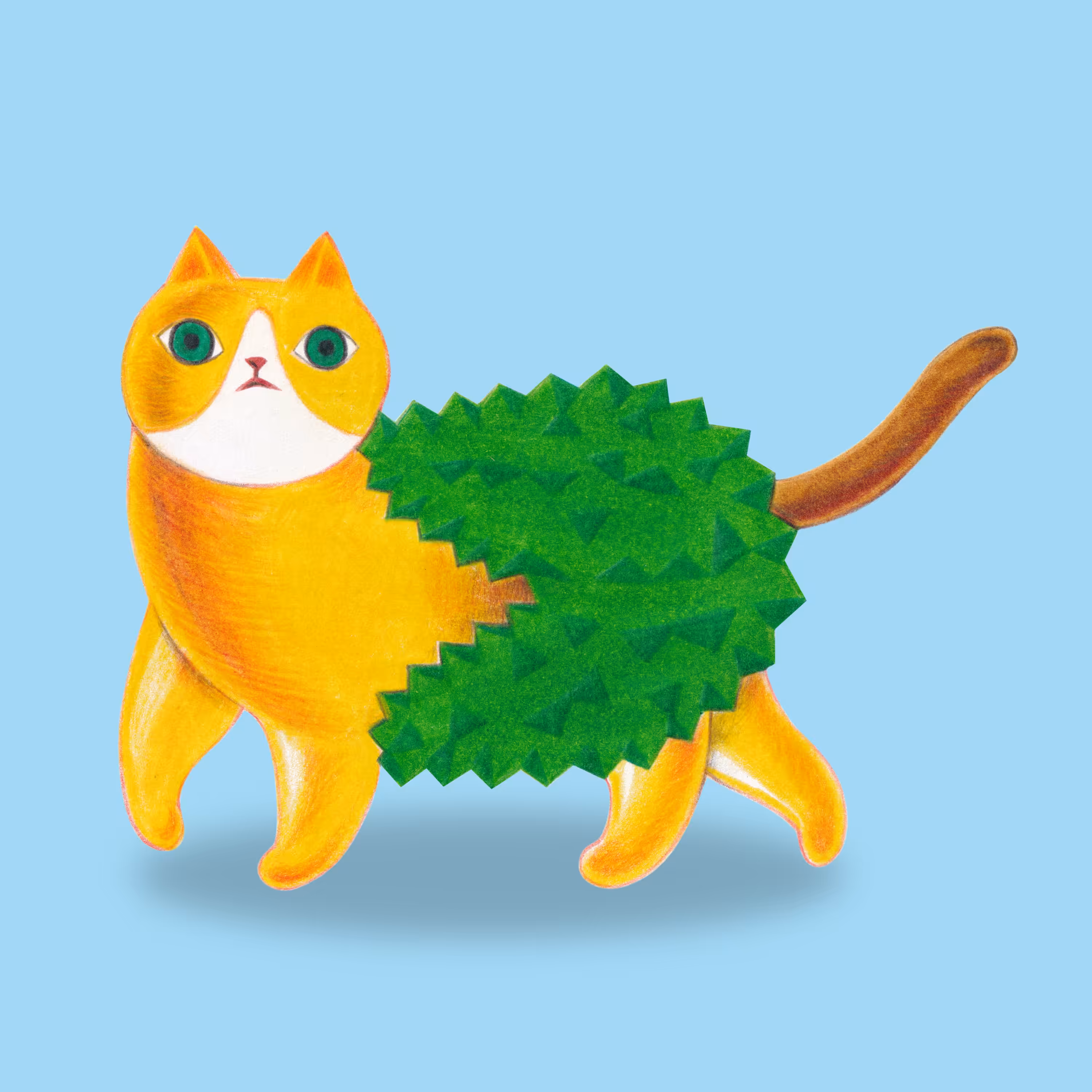 DURIAN CAT