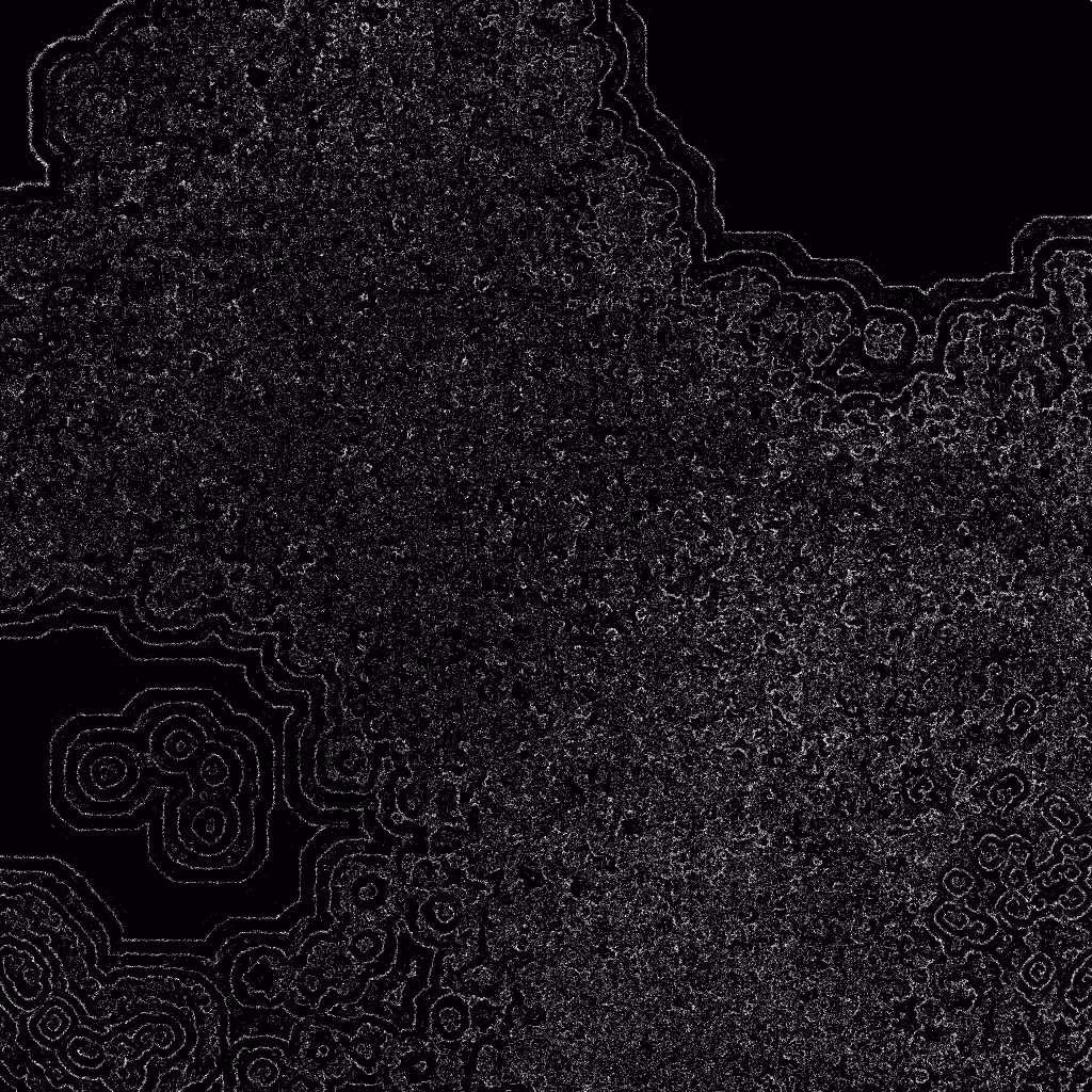 Noise #560 
