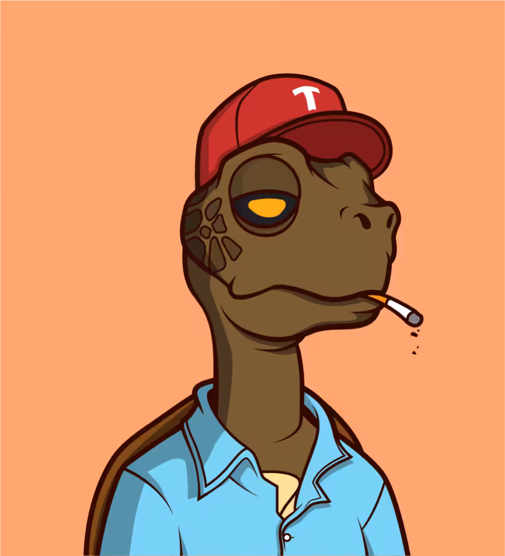 Tiny Turtle 53