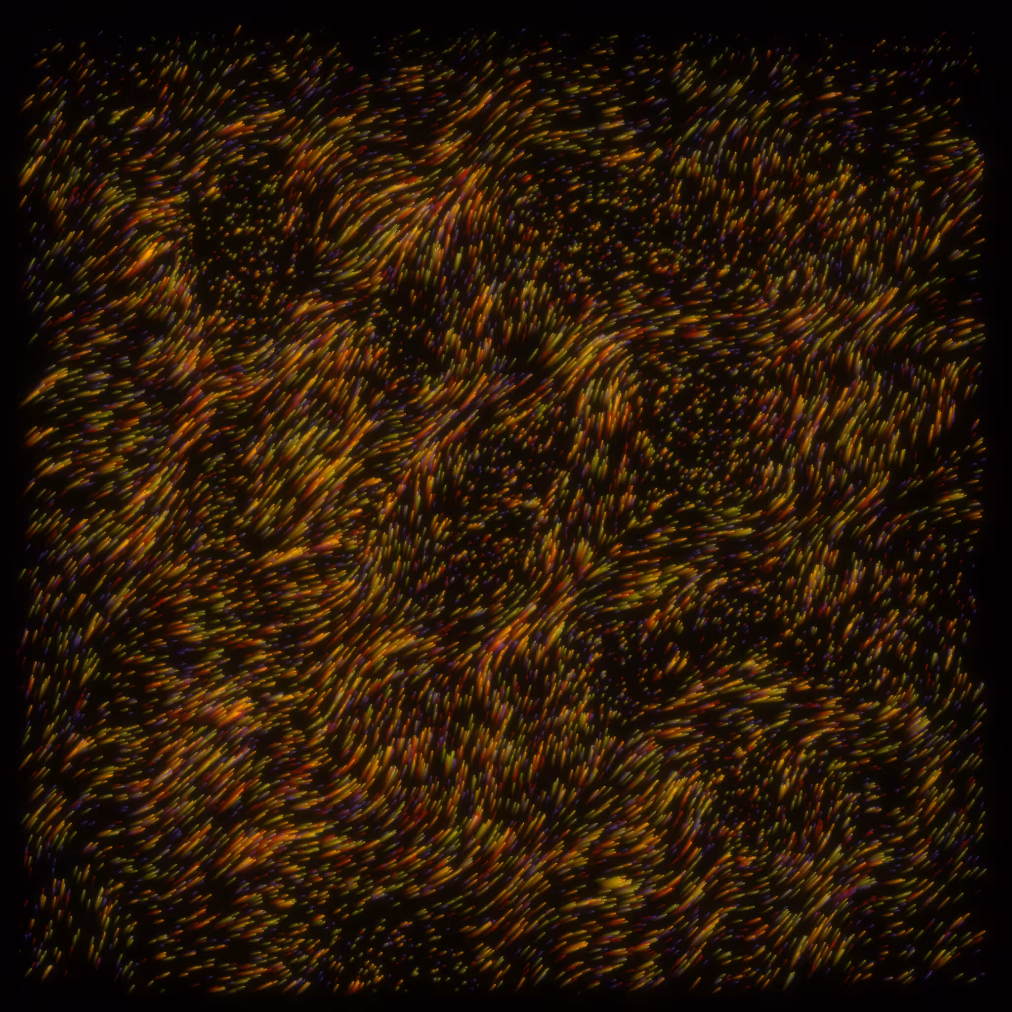 flow | meditations #346