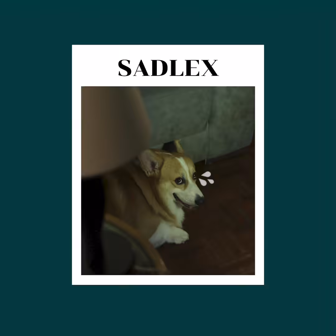ROLEX DIZZY DOG#2 (sadlex) 