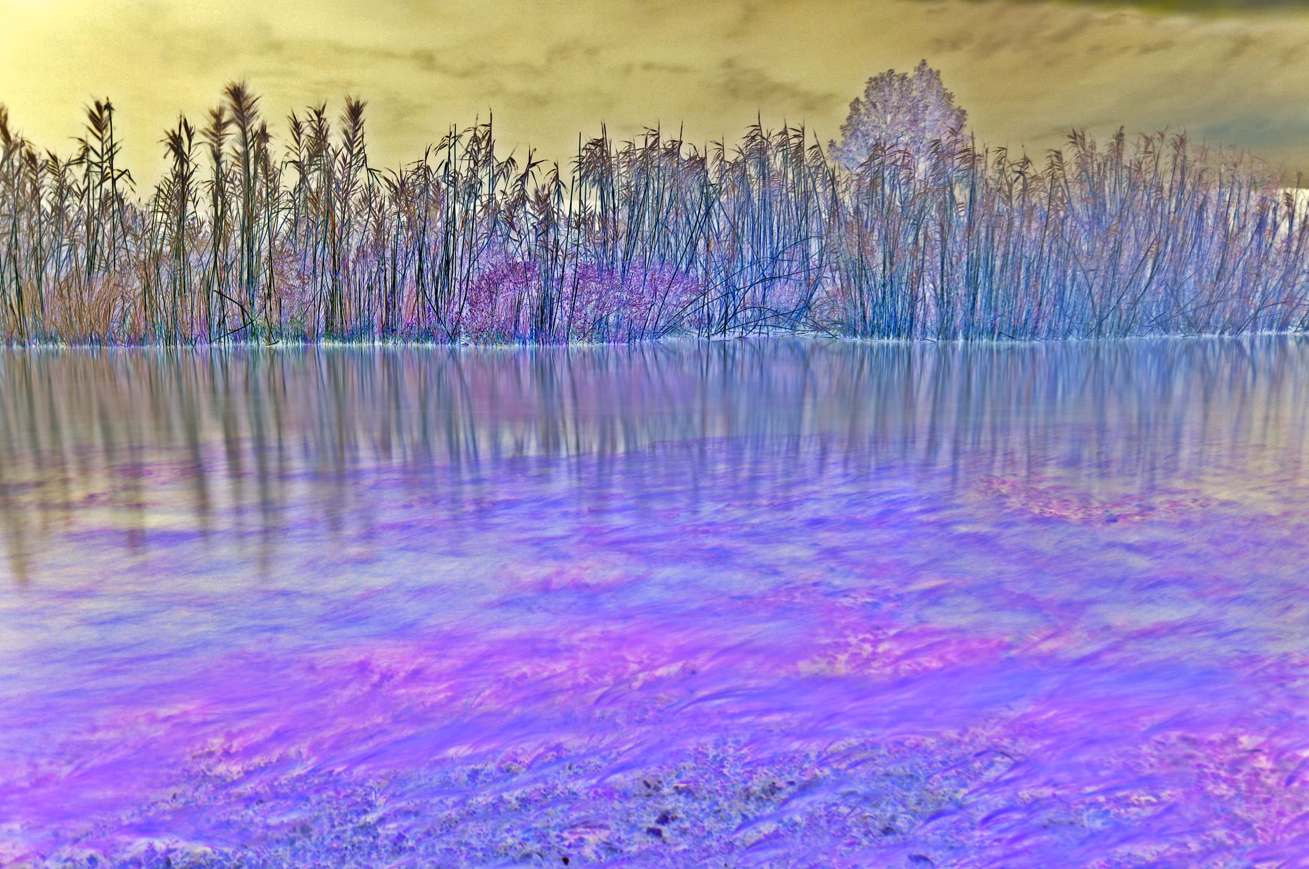 Natural Painting