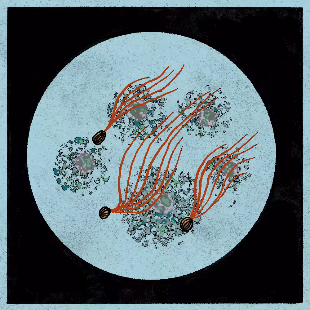 Microbes #132