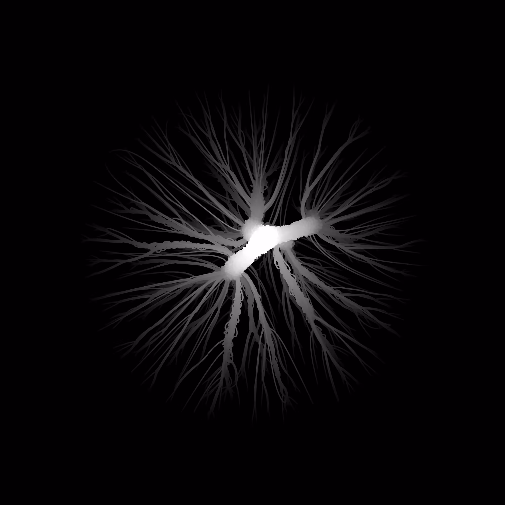 GRAVITY IMPRINT [0]