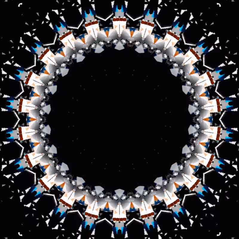 Blotter Motion #1