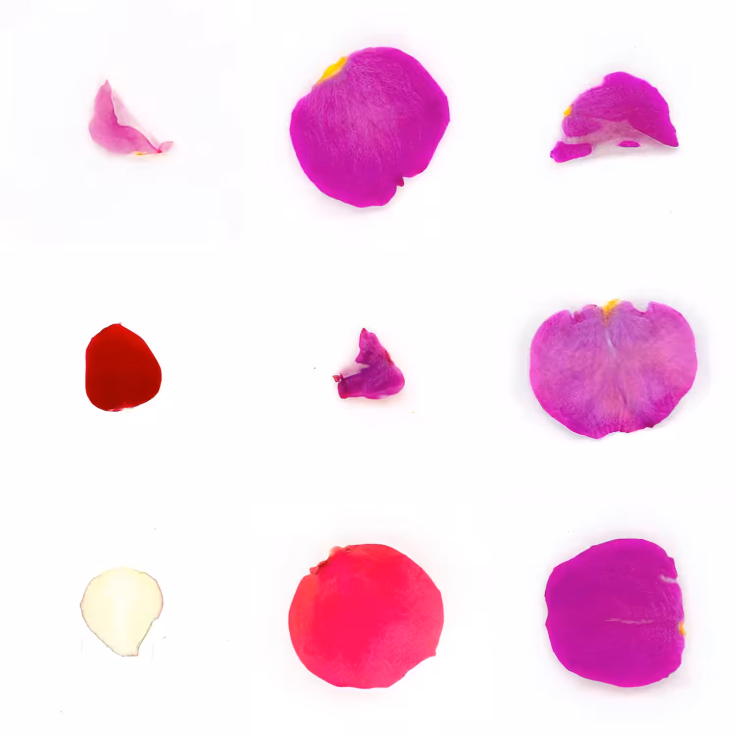 Infinite Petals 3x3#2208