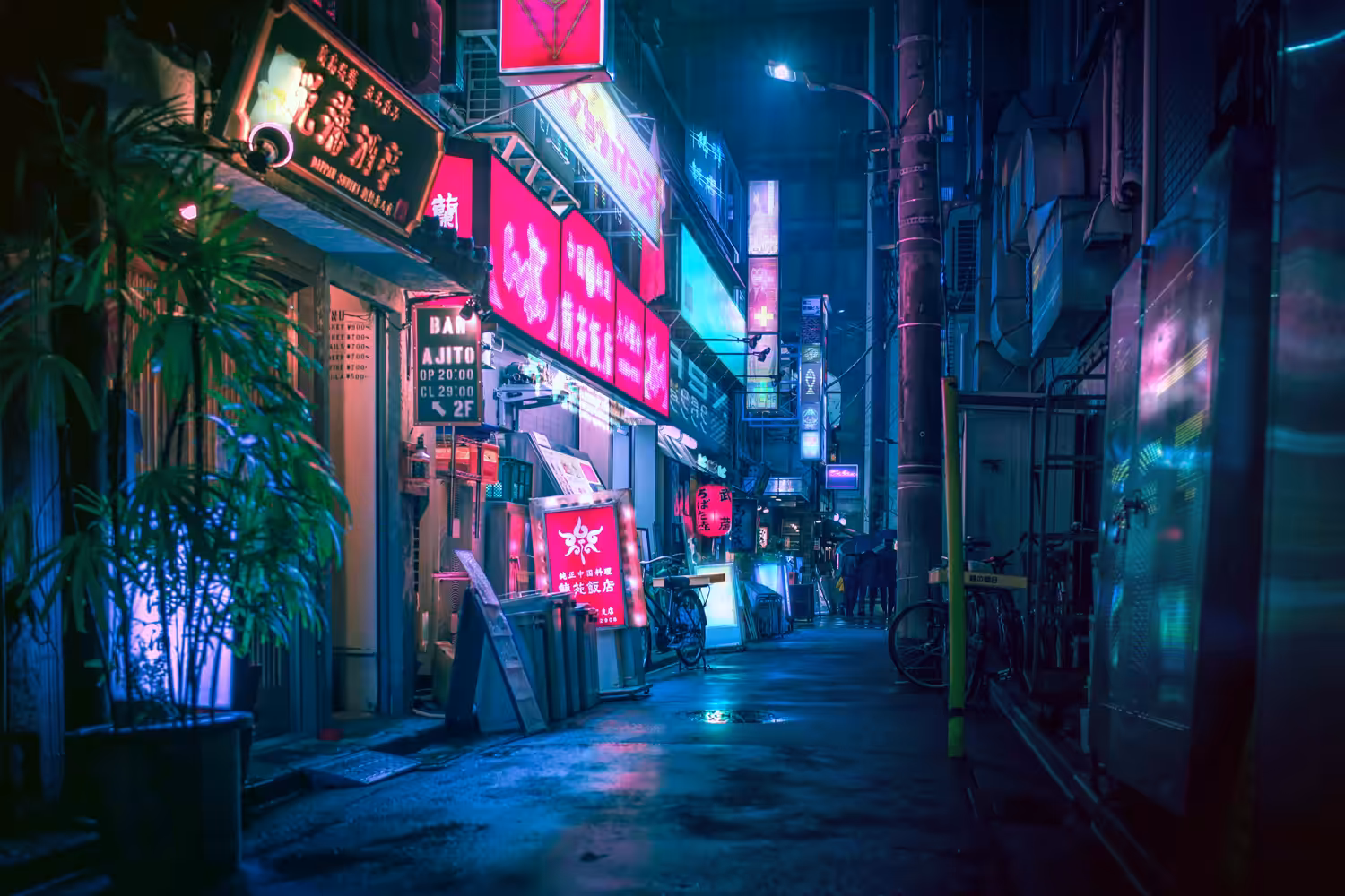 After the rain