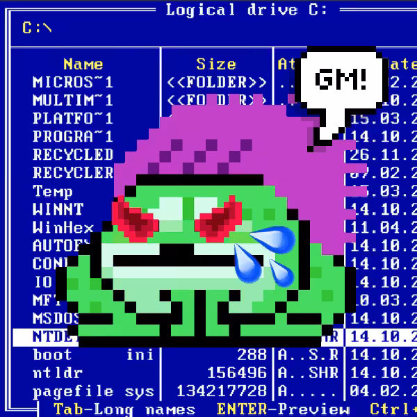 GM TOADZ: GM TOAD 030