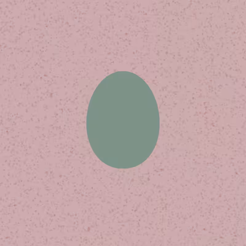 Egg #8