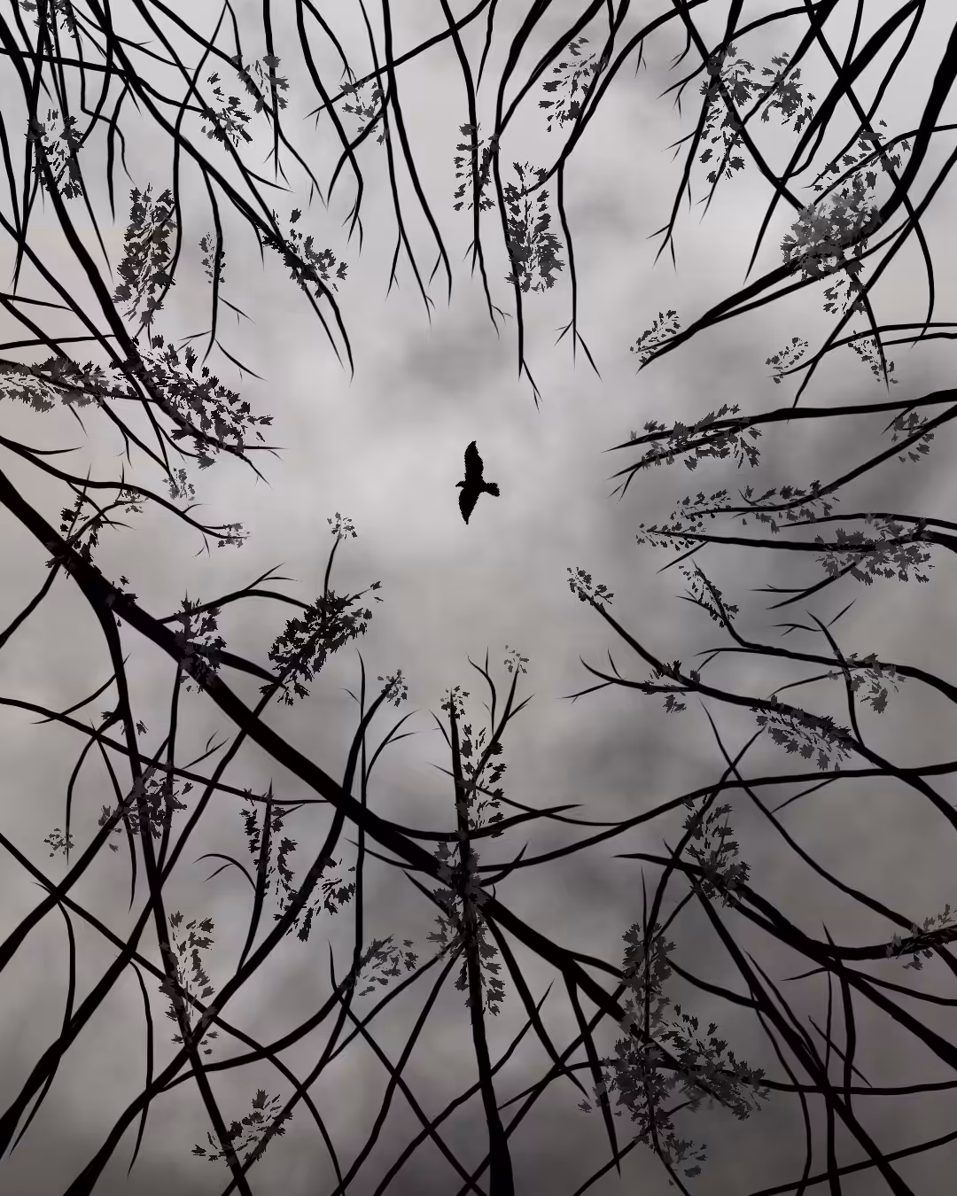 Art Of Abolfazl : Branches and Sky 