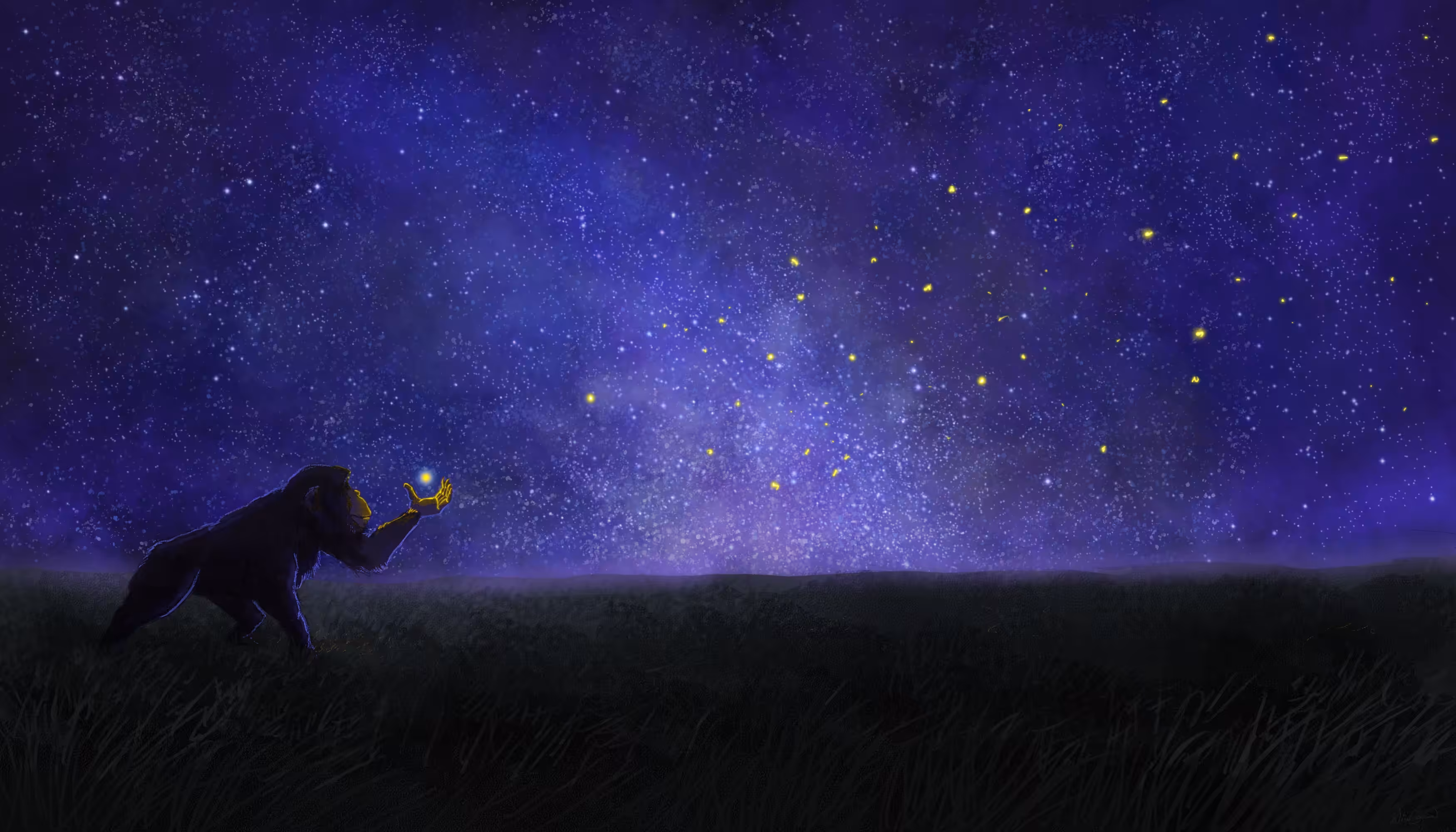 Follow The Lights