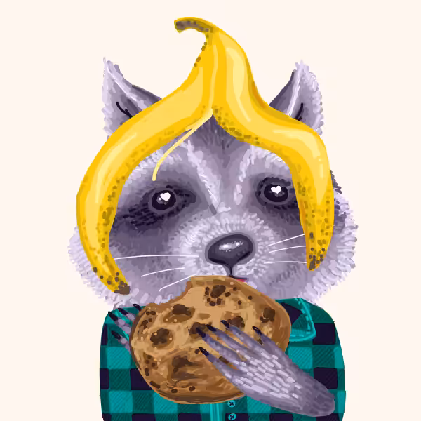 Cool Raccoon Collection #3