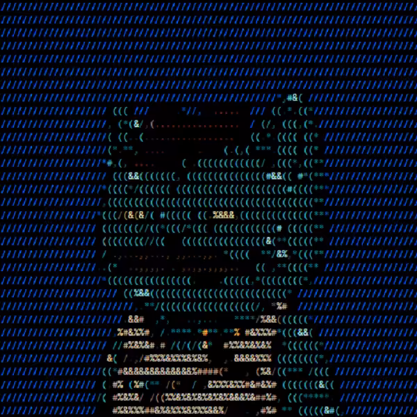 codewildcat #2