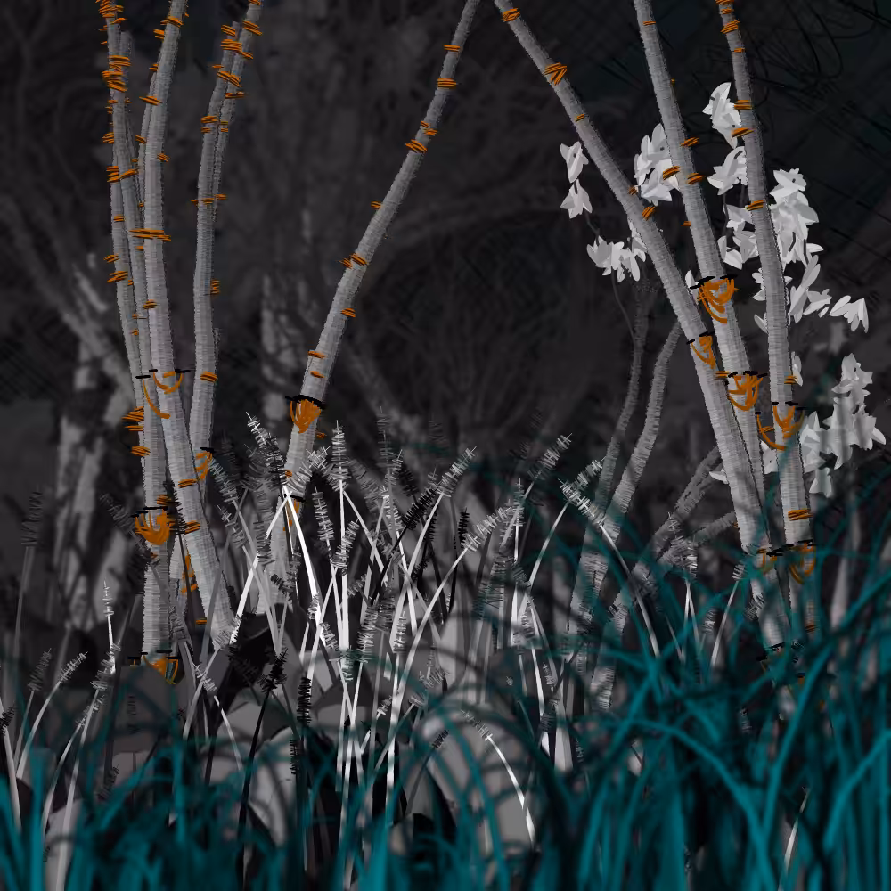Nature's Vanity: Slideshow #14