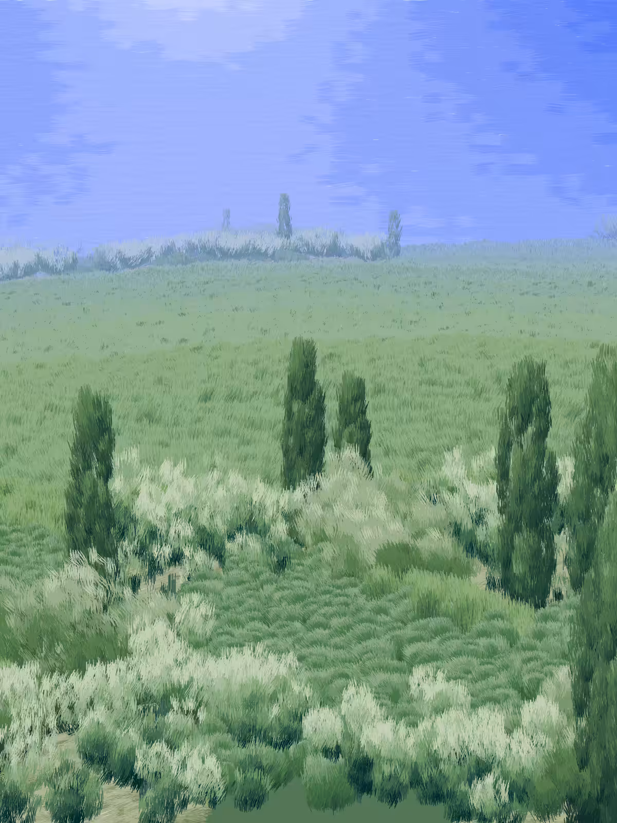Provence #376