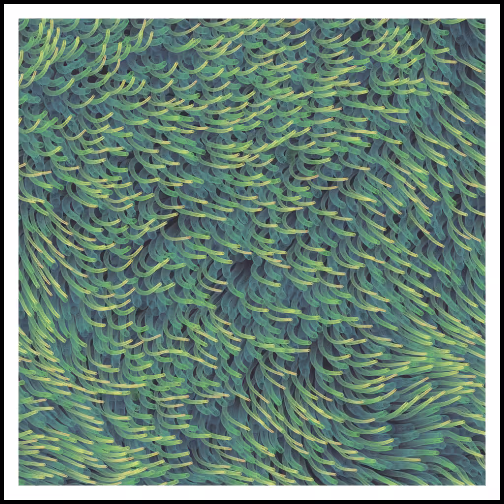 Studies of Motion  #11