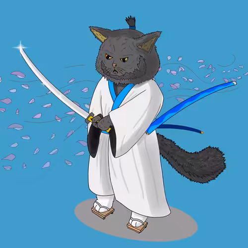 Ronin#5