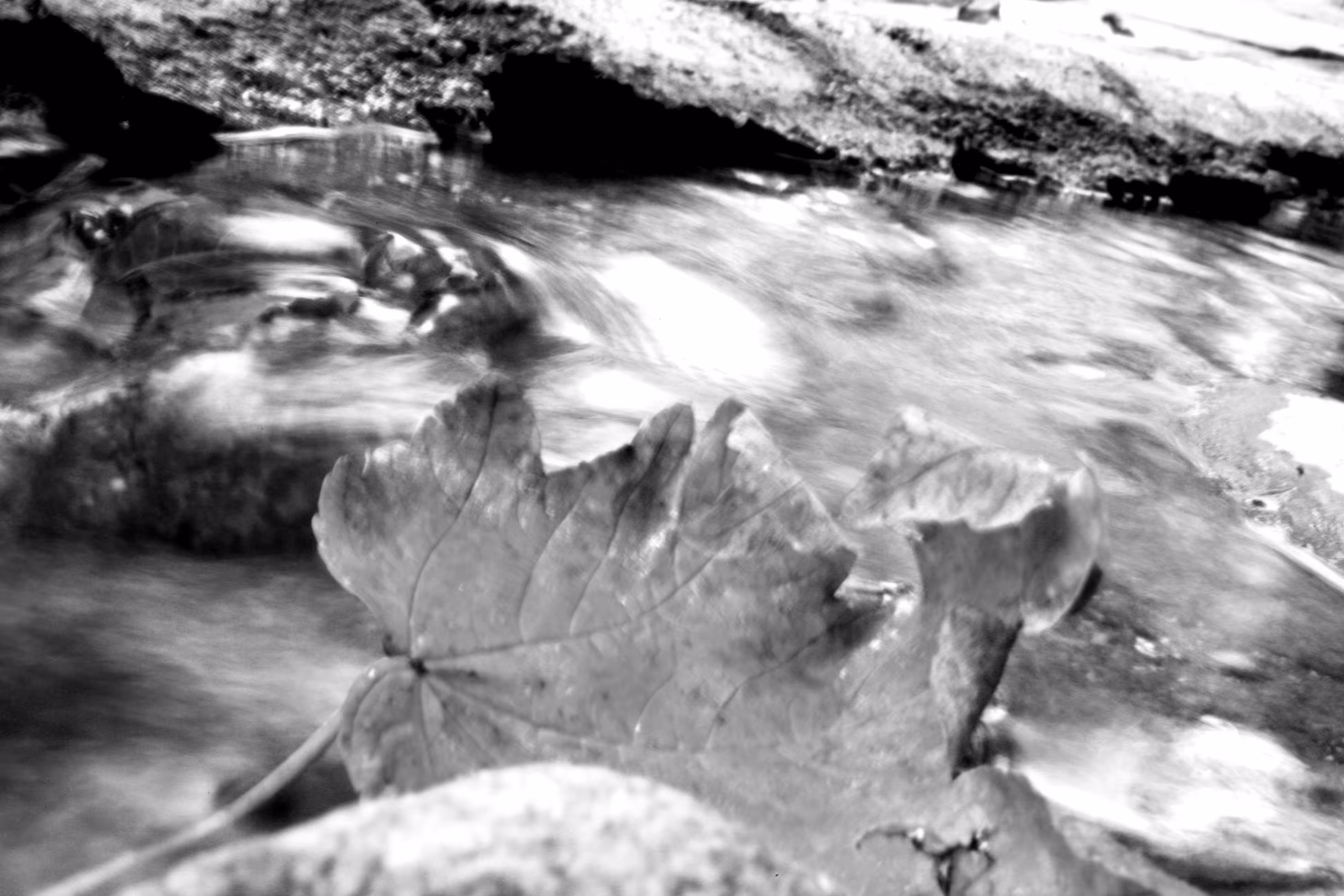 HaNd Of NaTuRe