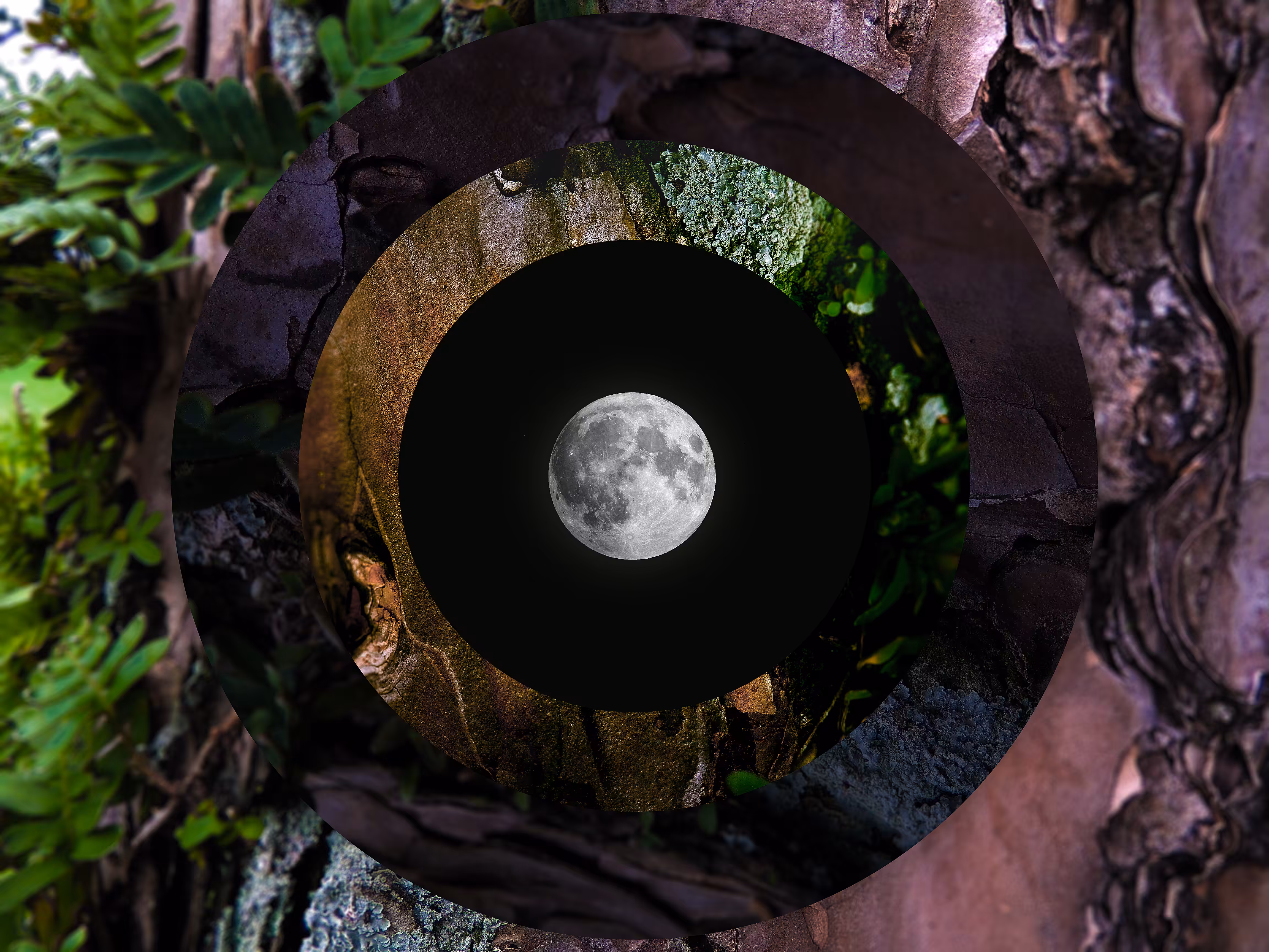 moonlit