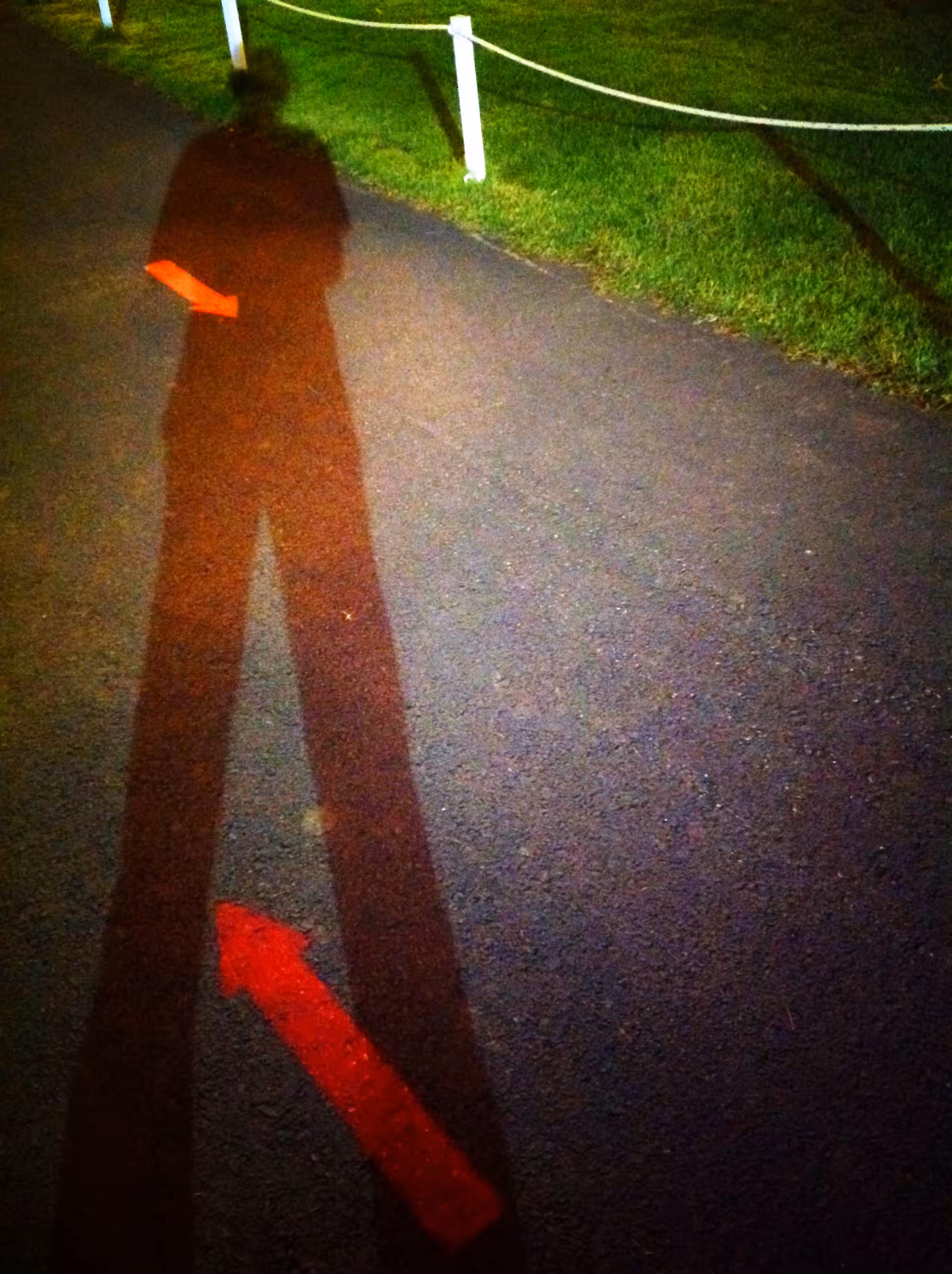 Shadow 2019