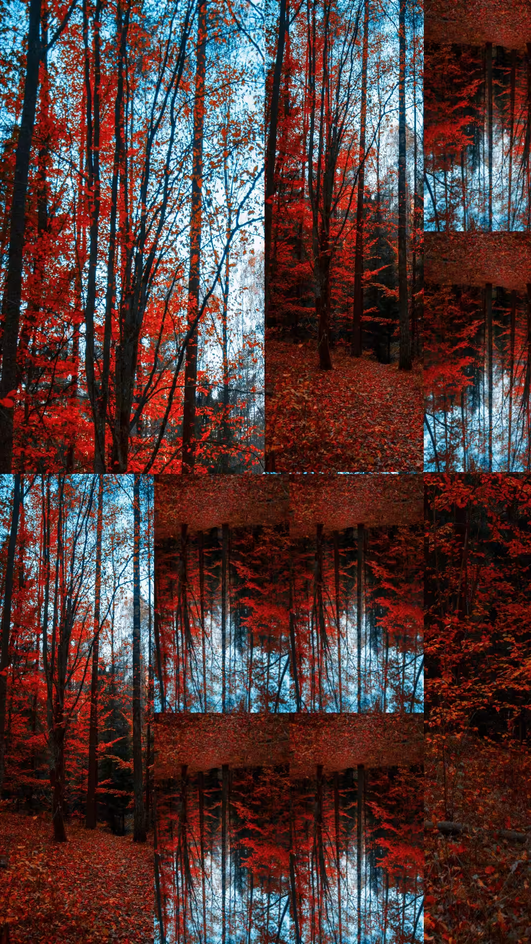Red_WOOD
