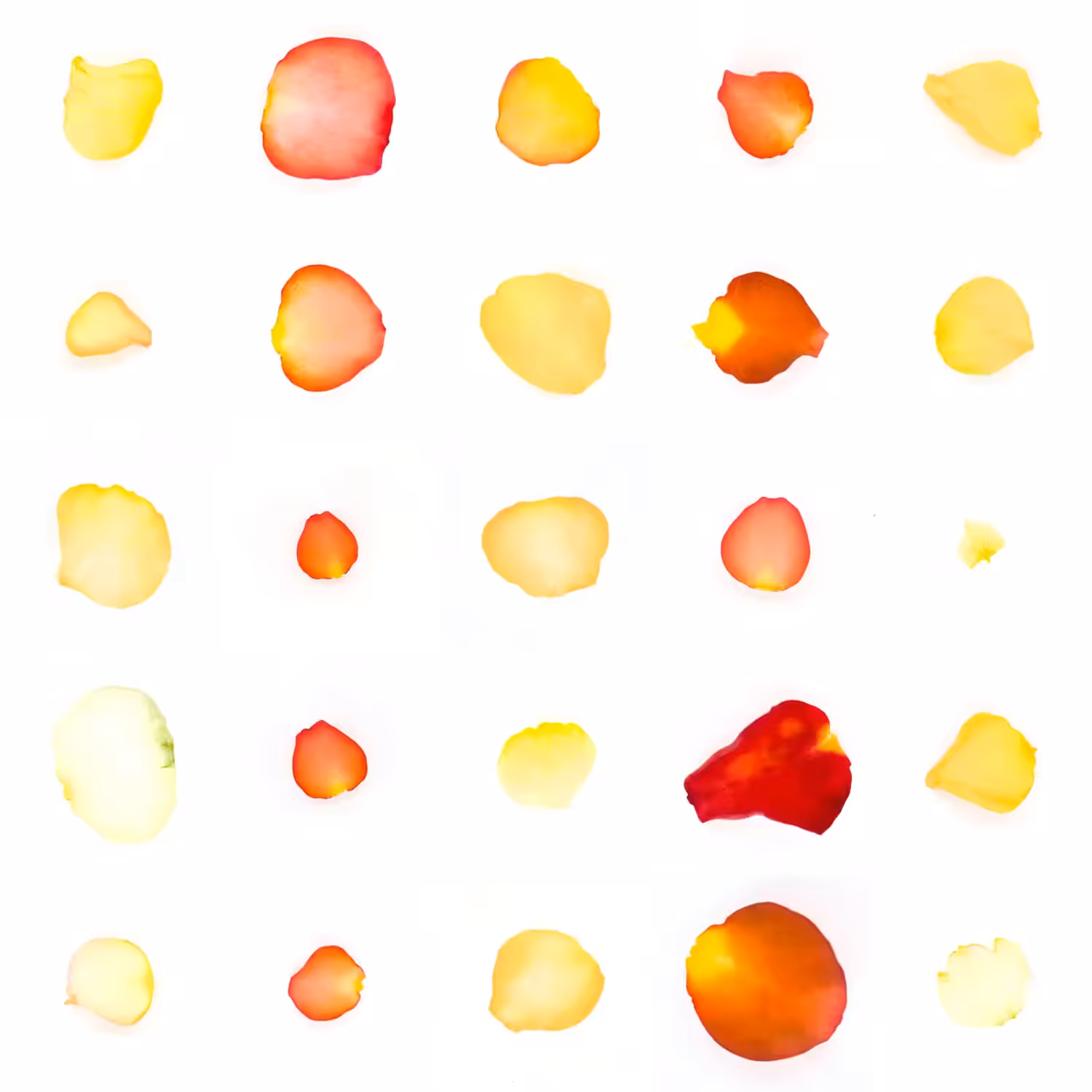 Infinite Petals 5x5#20488