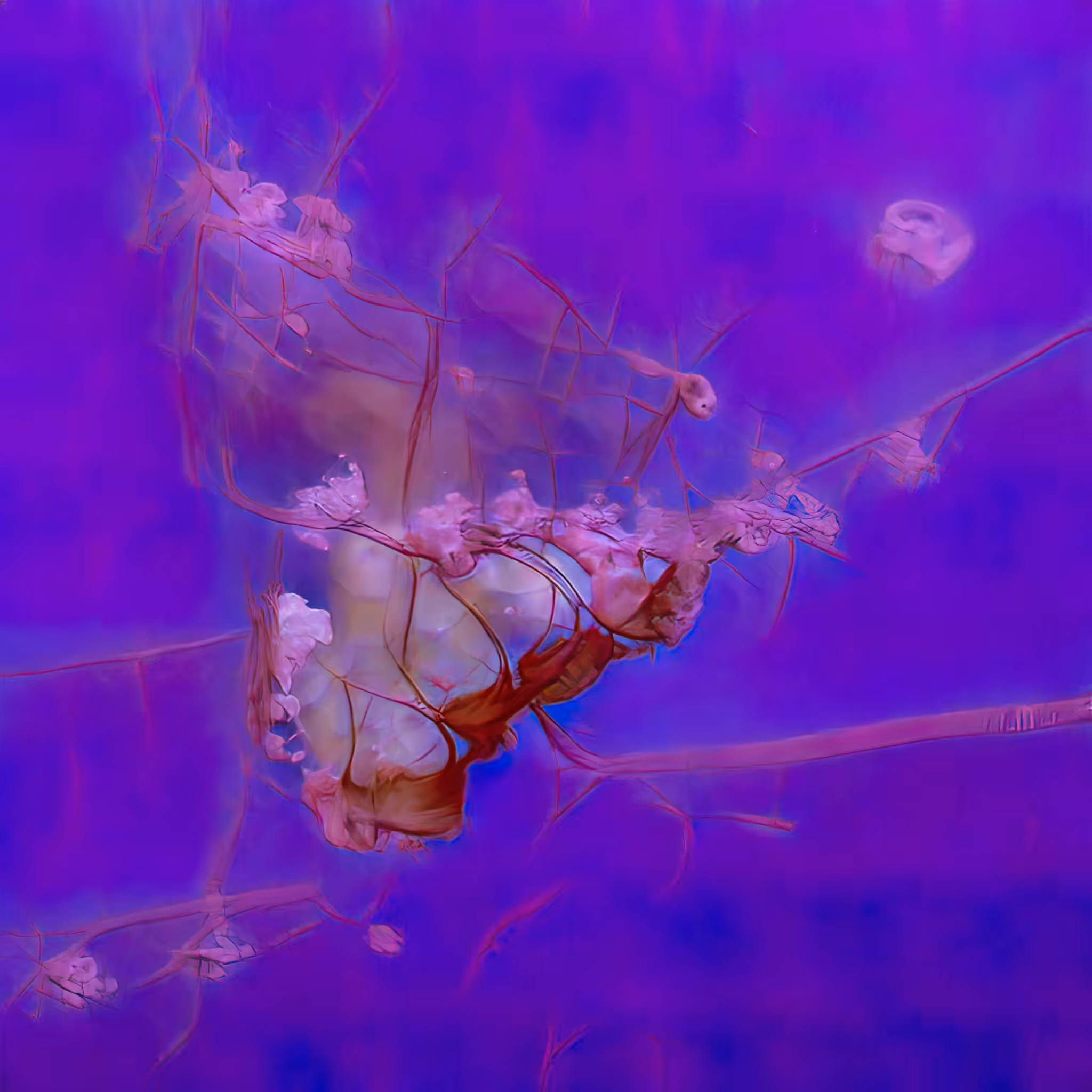 Emergent Finale 00134