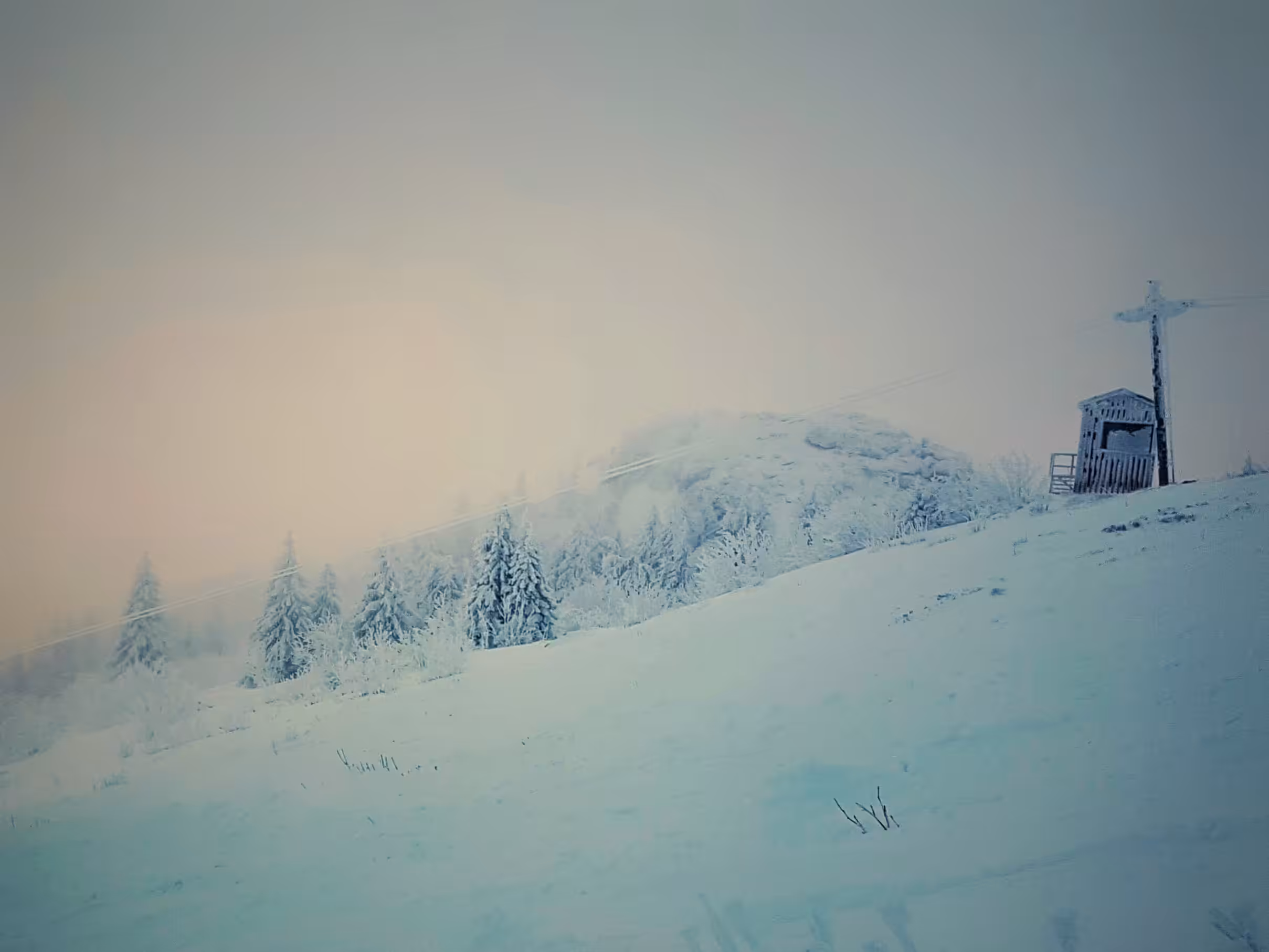 silent white
