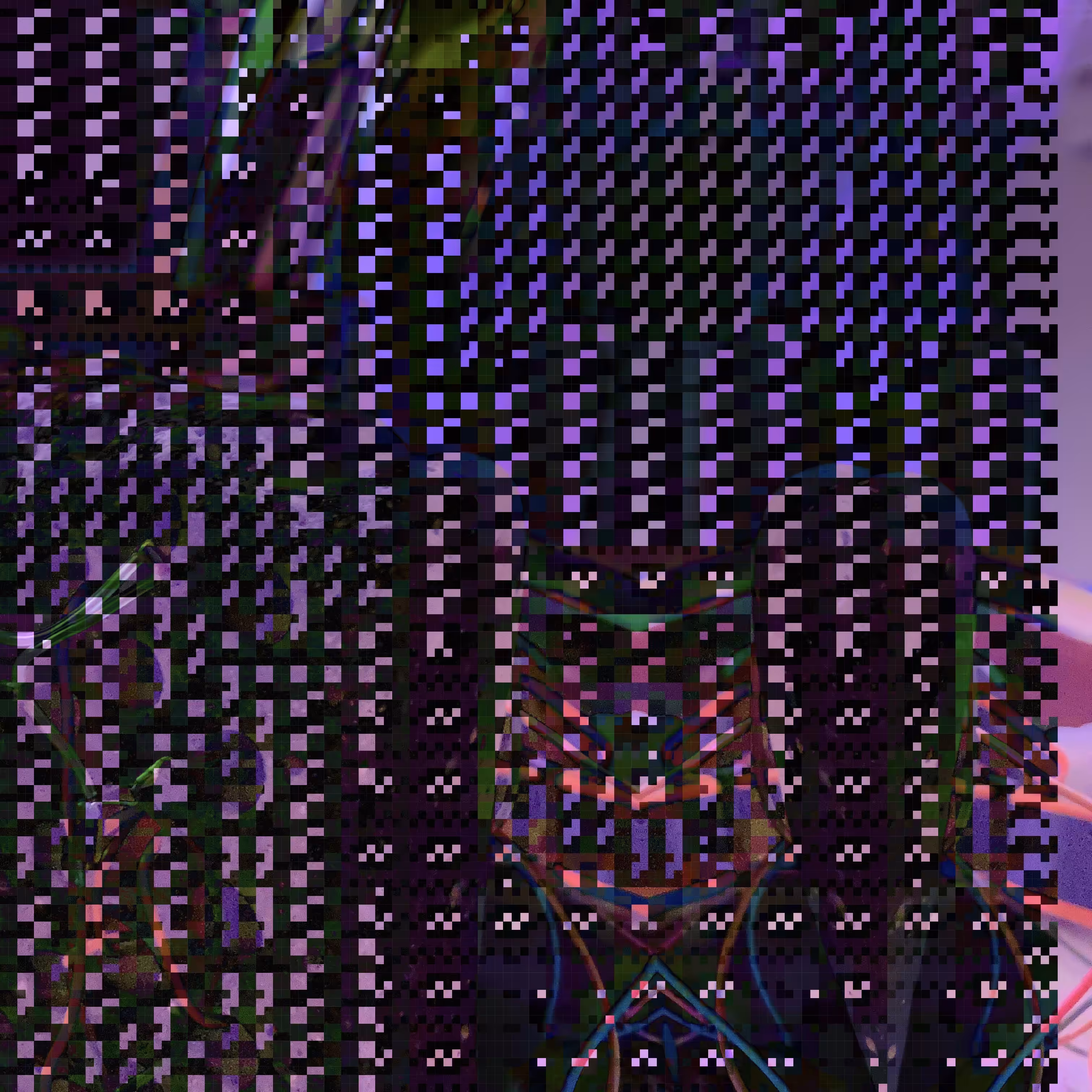 IMG/5044