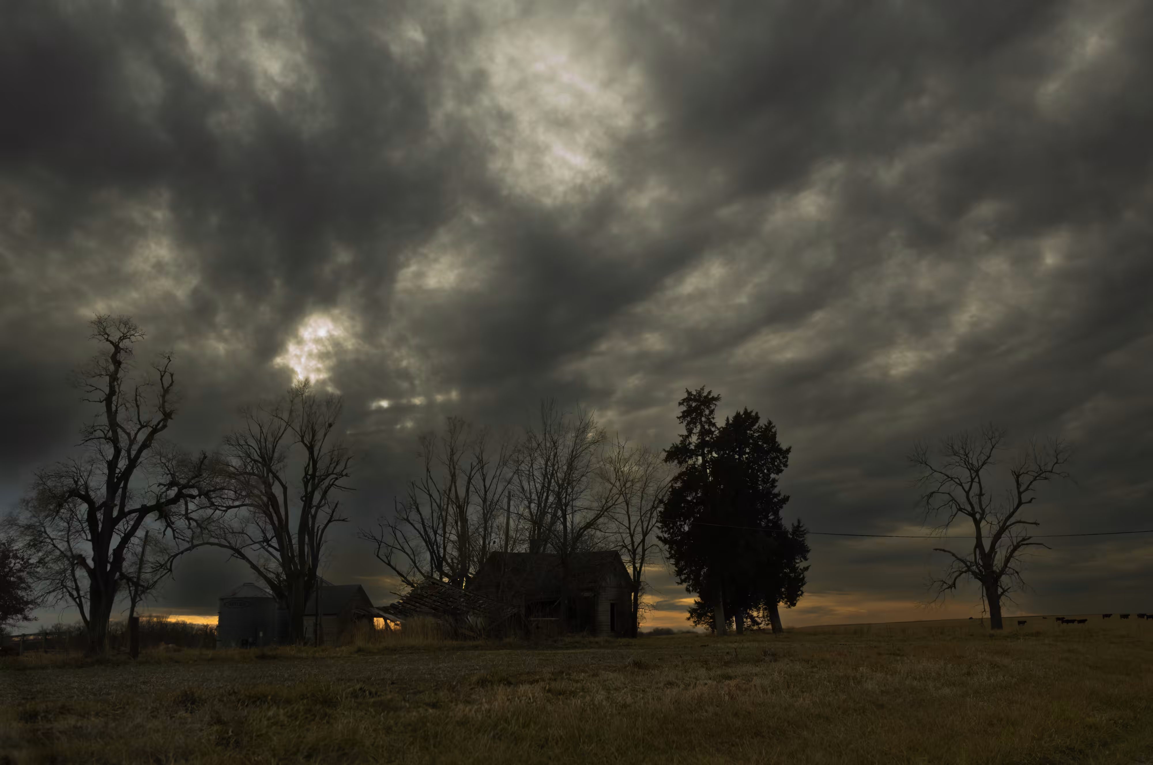 The Black Mechanism #50 (Untitled 12082-2898) by Todd Hido