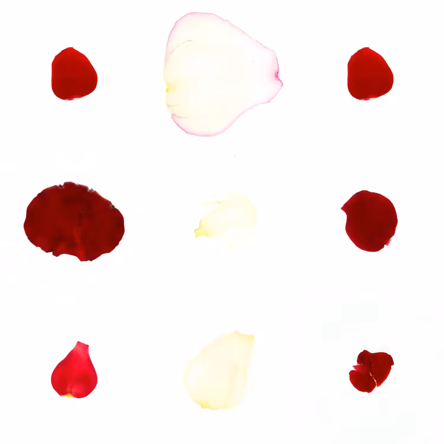 Infinite Petals 3x3#3273