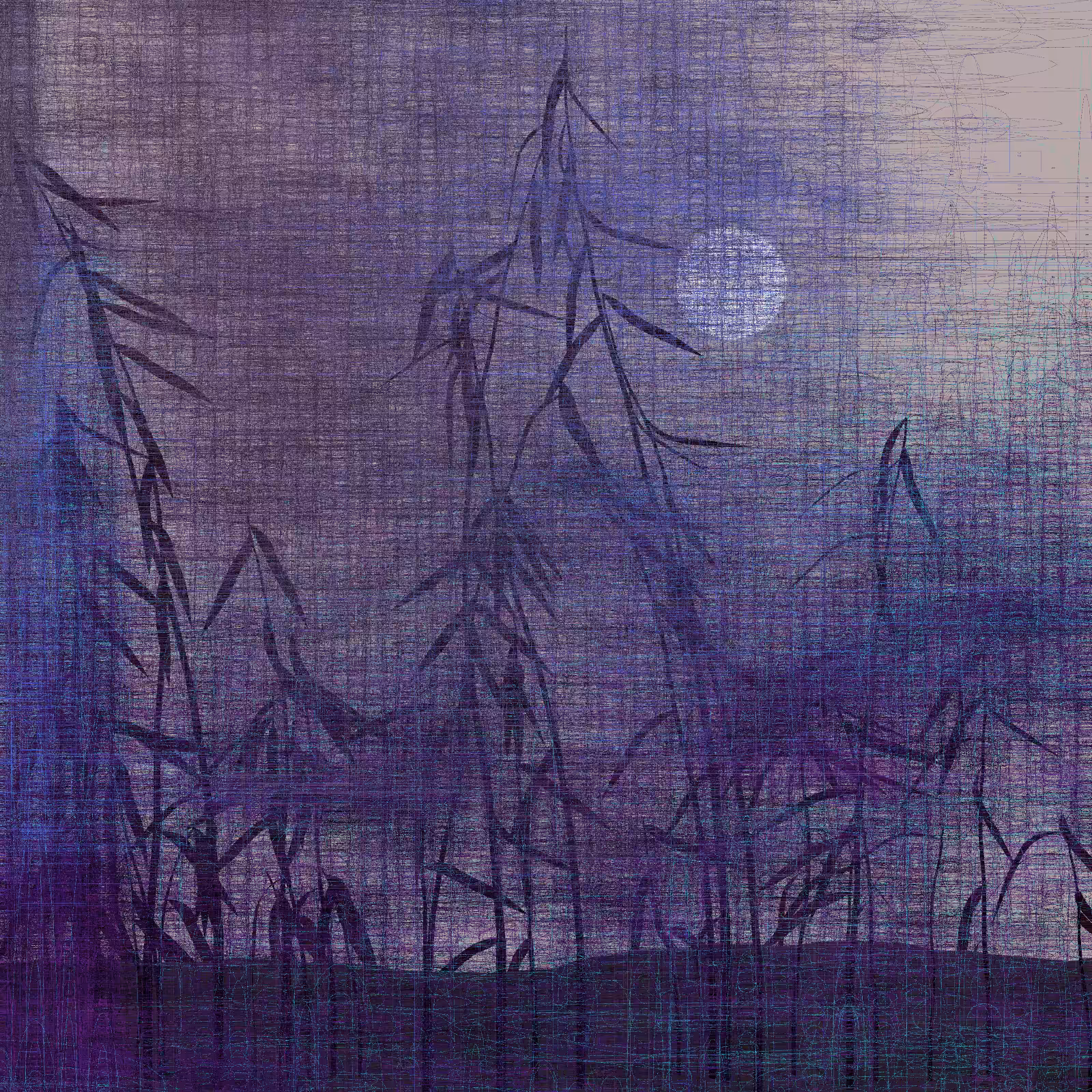 Echoes #31