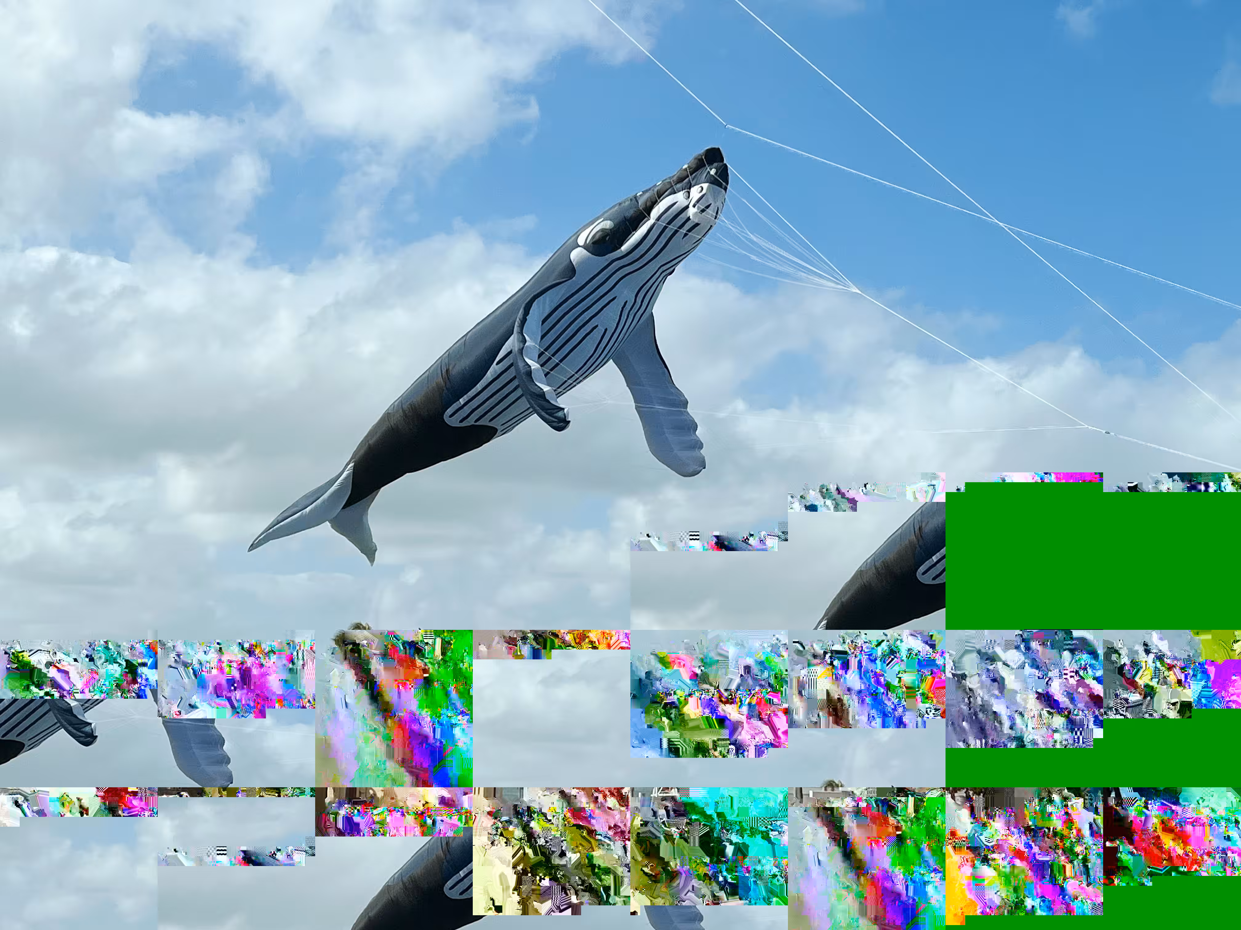 Blue Whale (06)