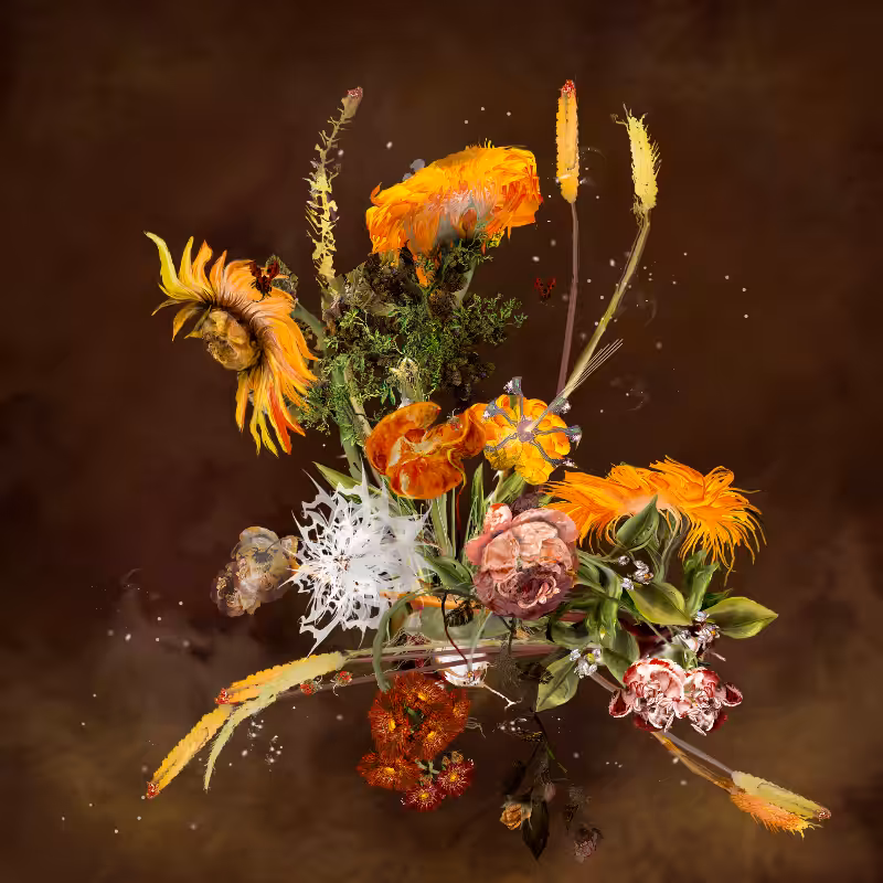 Generative Still Life: Still Life 17.0 #6