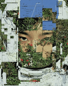 Inner Ecosystem
