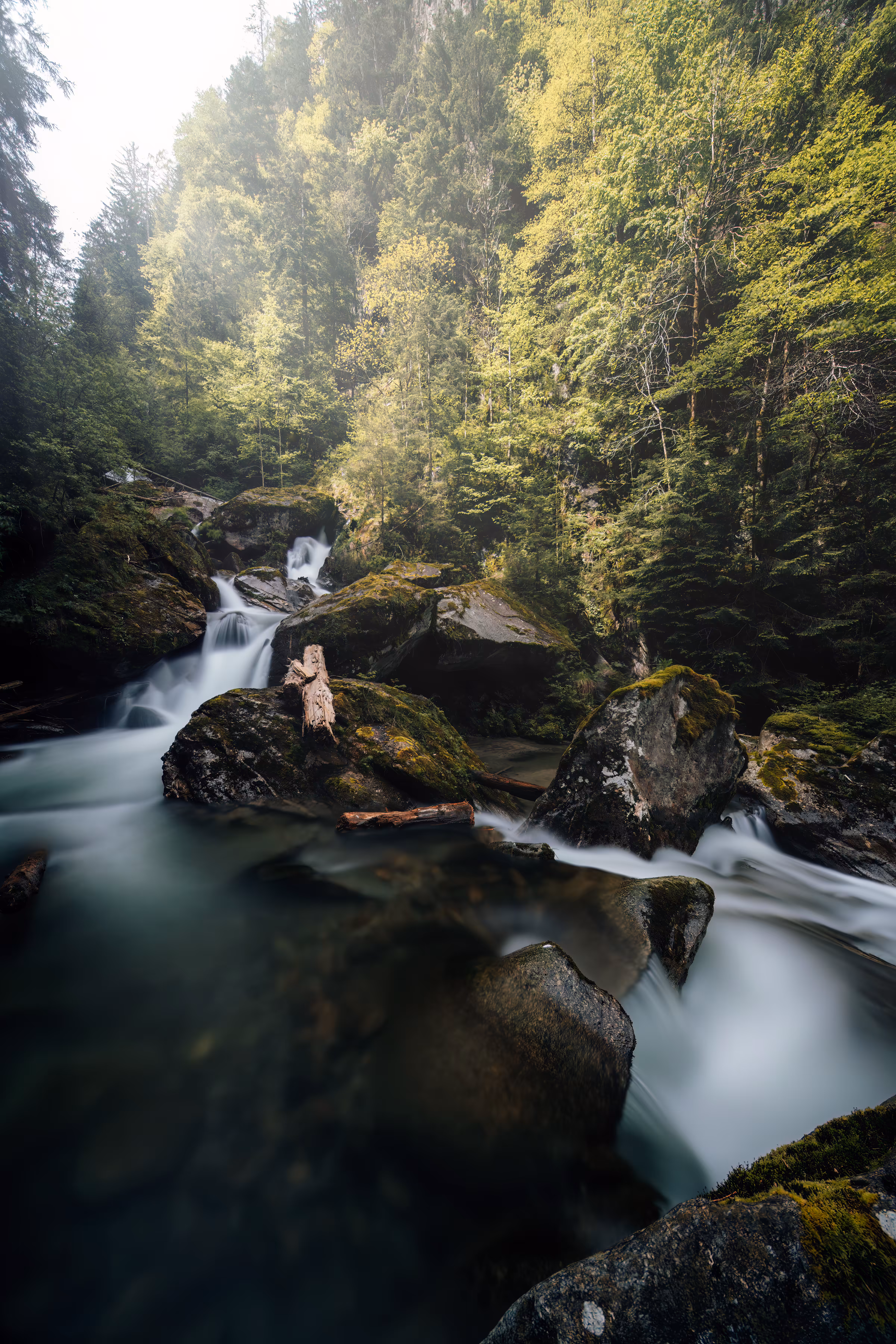 The River