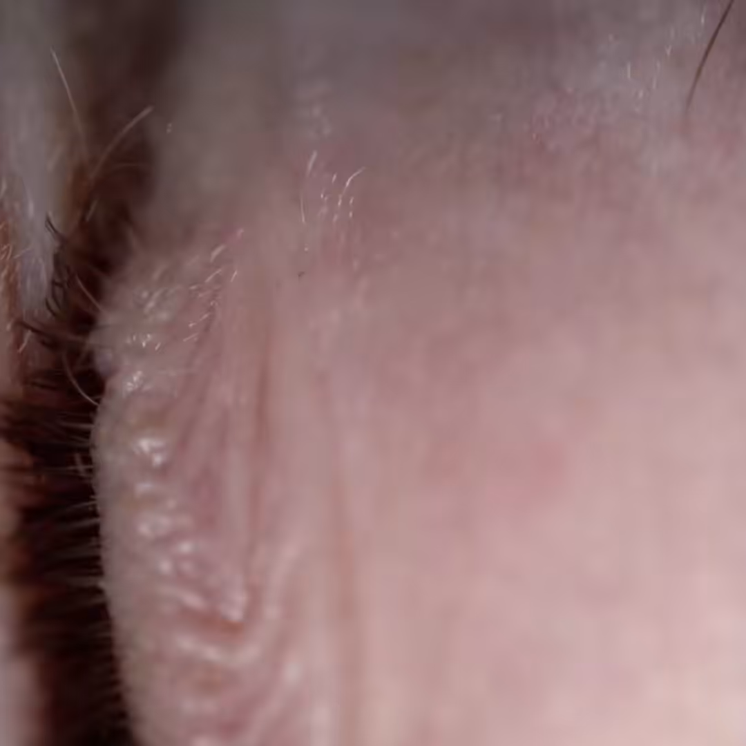 SEE？