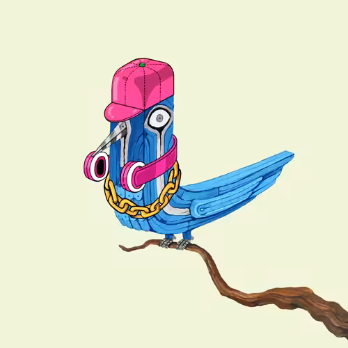 Bolbol, The Bird 009