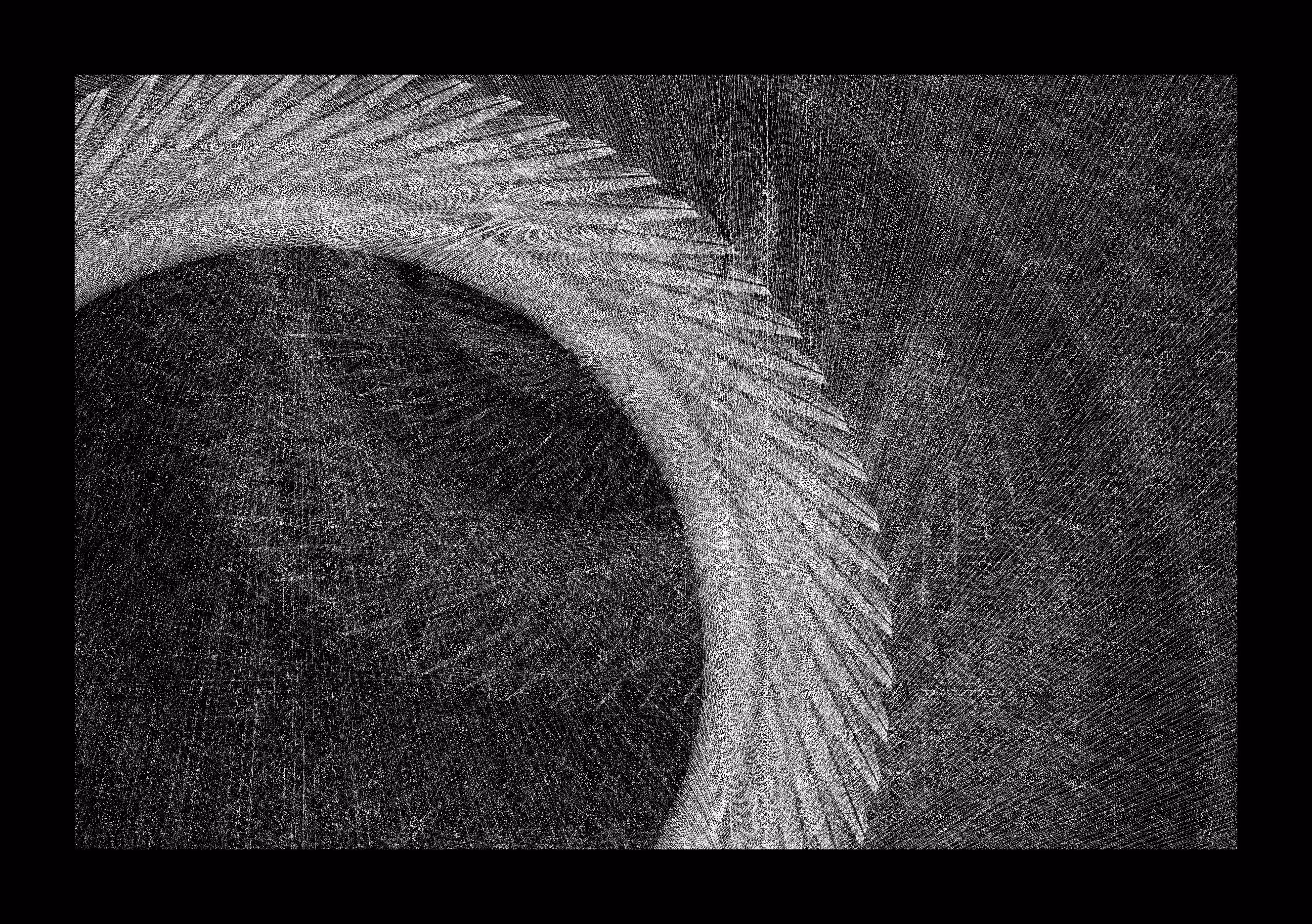 Delicate Void IX