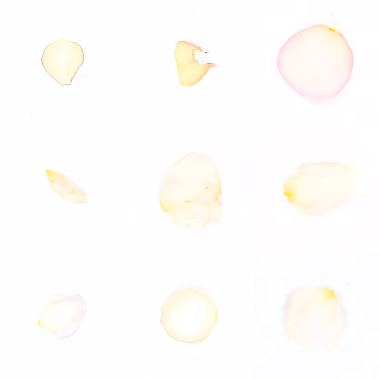 Infinite Petals 3x3#282