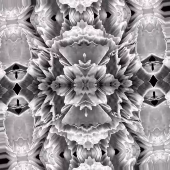 Symmetry VIII