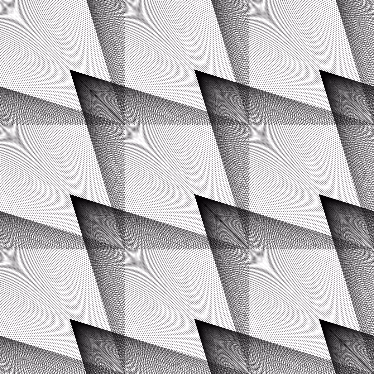 Noir et Blanc #50