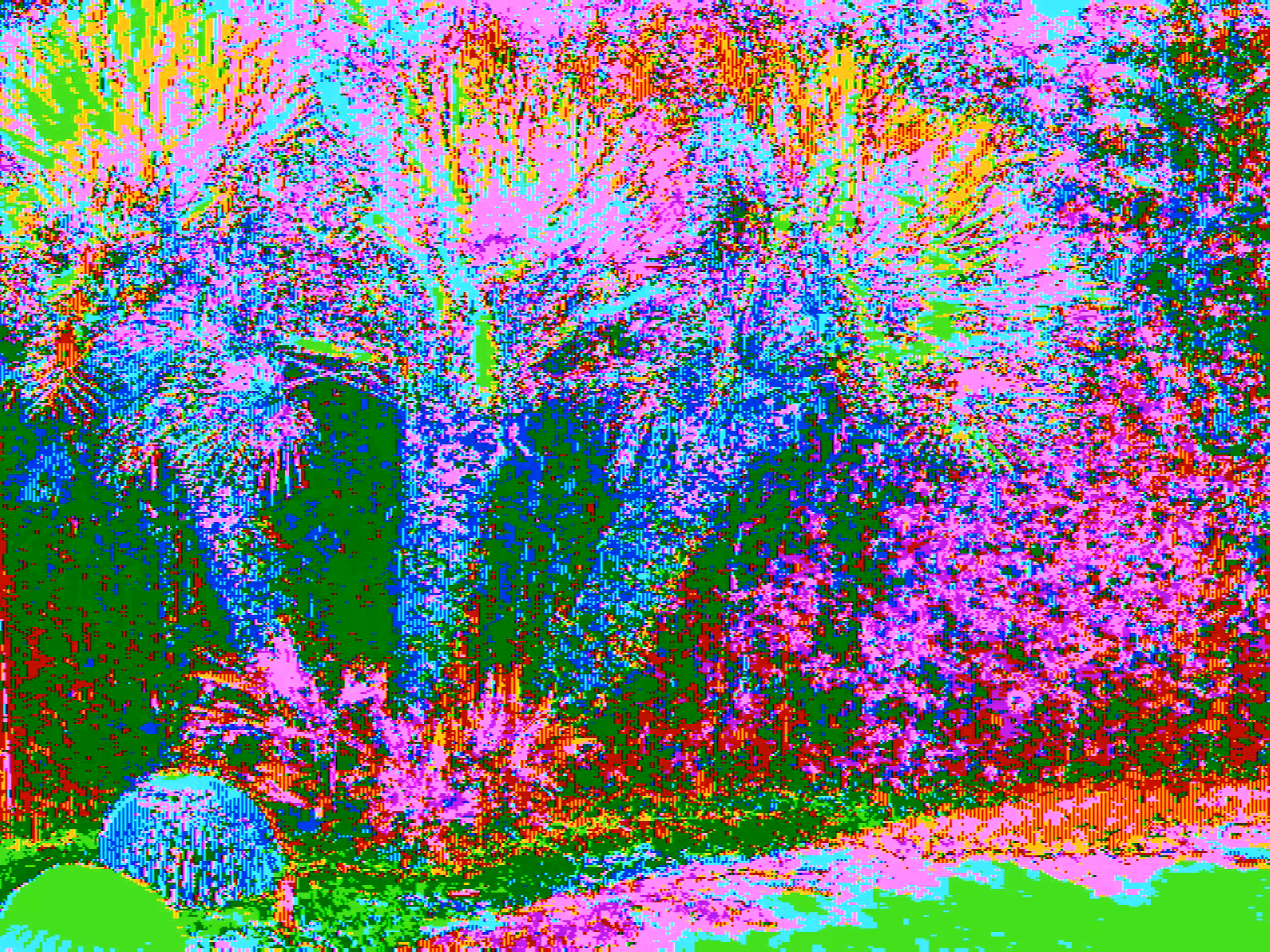 Psychedelic Palms