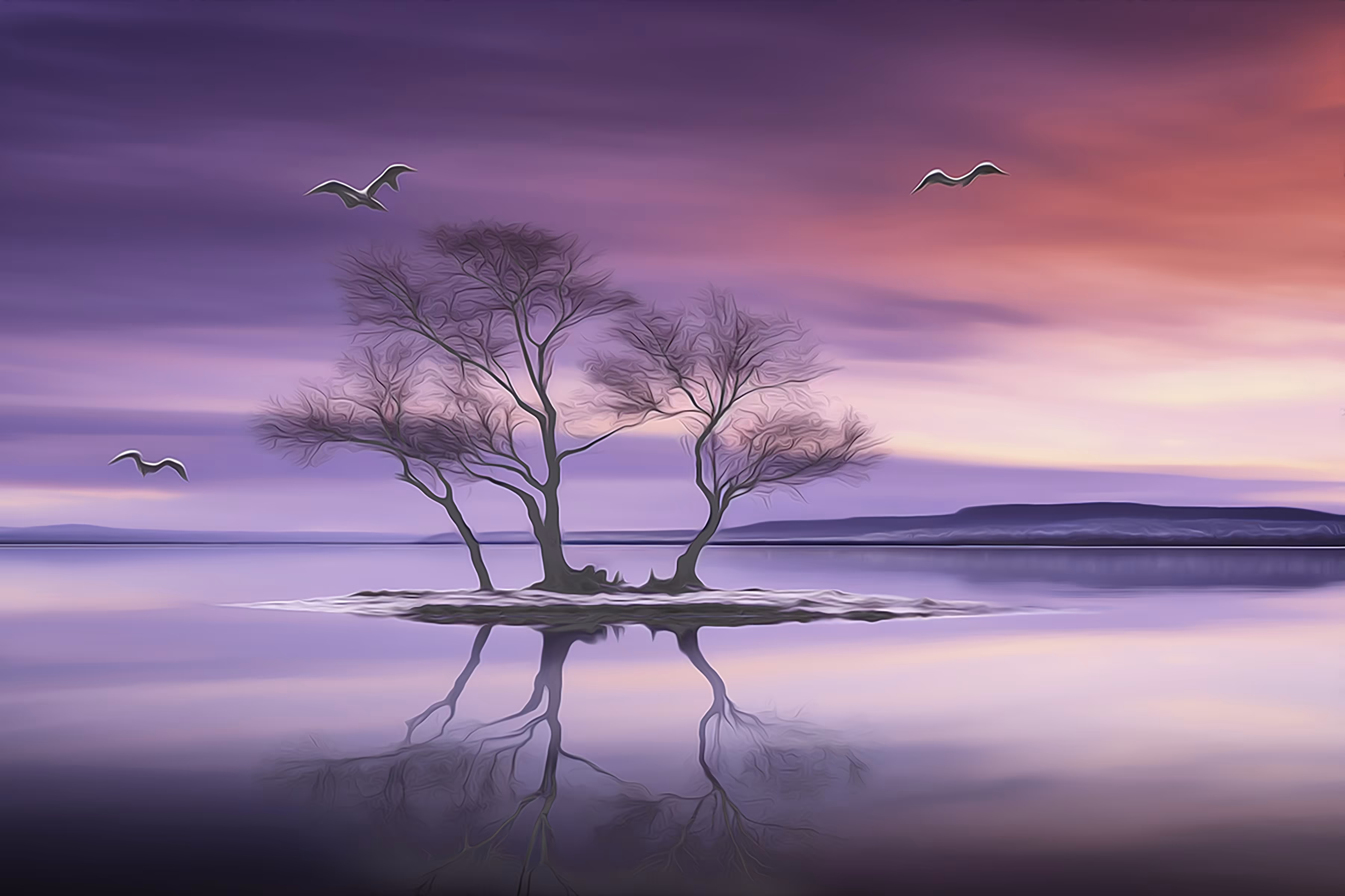 Scape 4