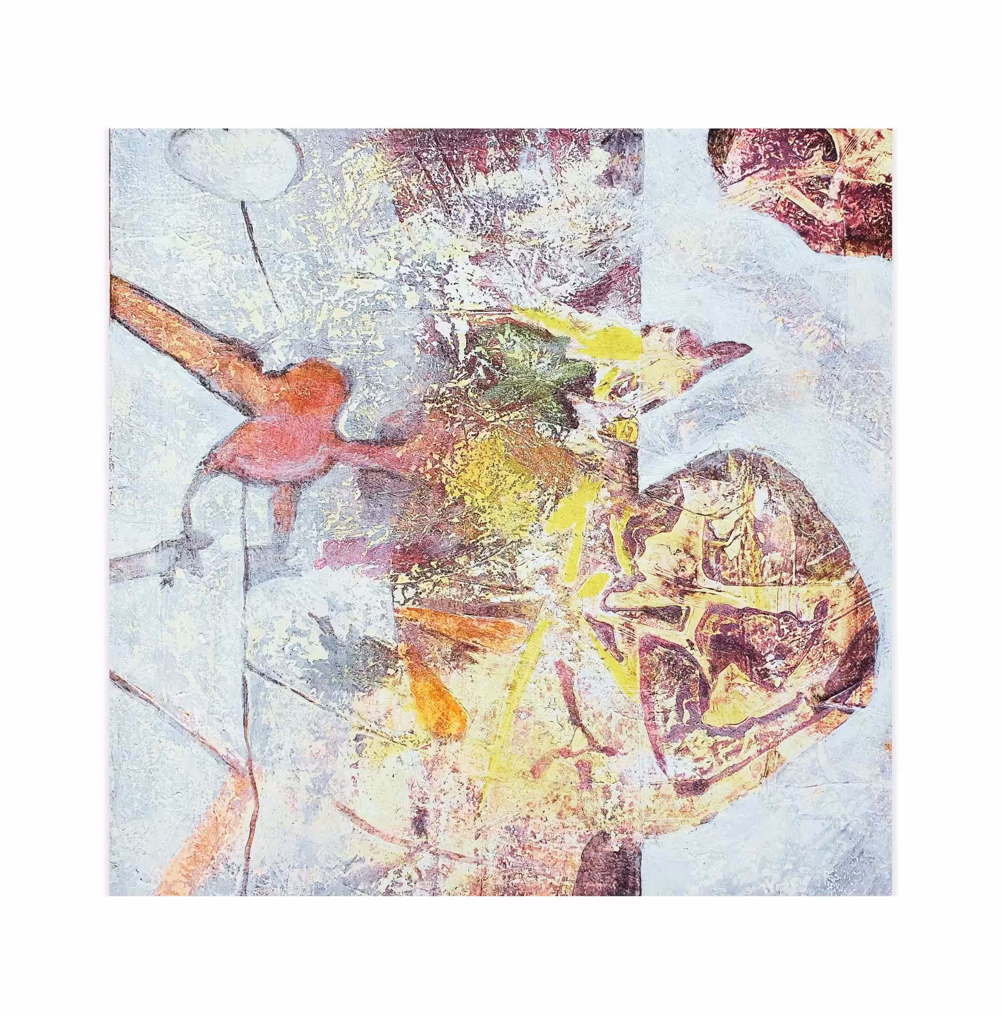 plant organs