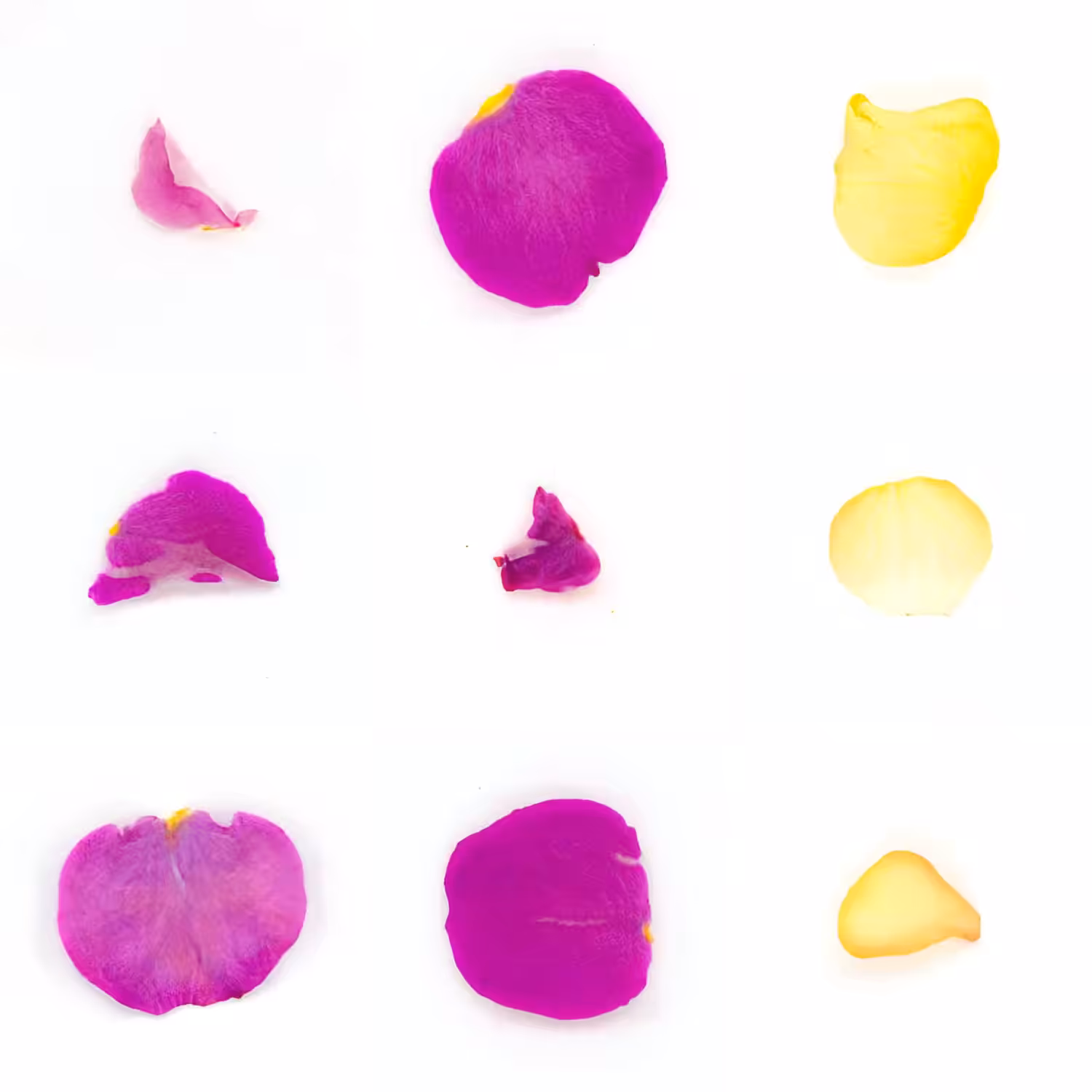 Infinite Petals 3x3#1744