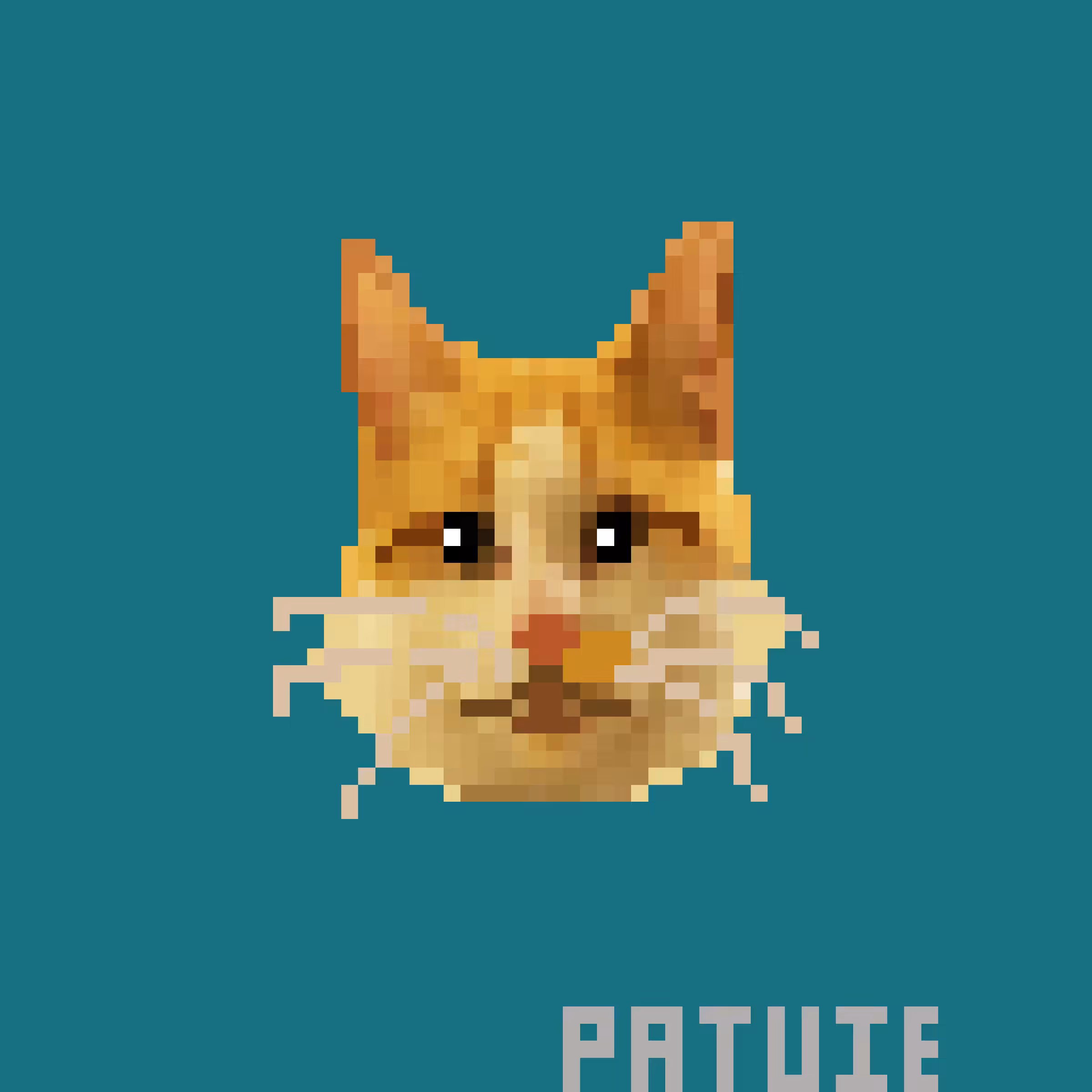 003 PATUIE